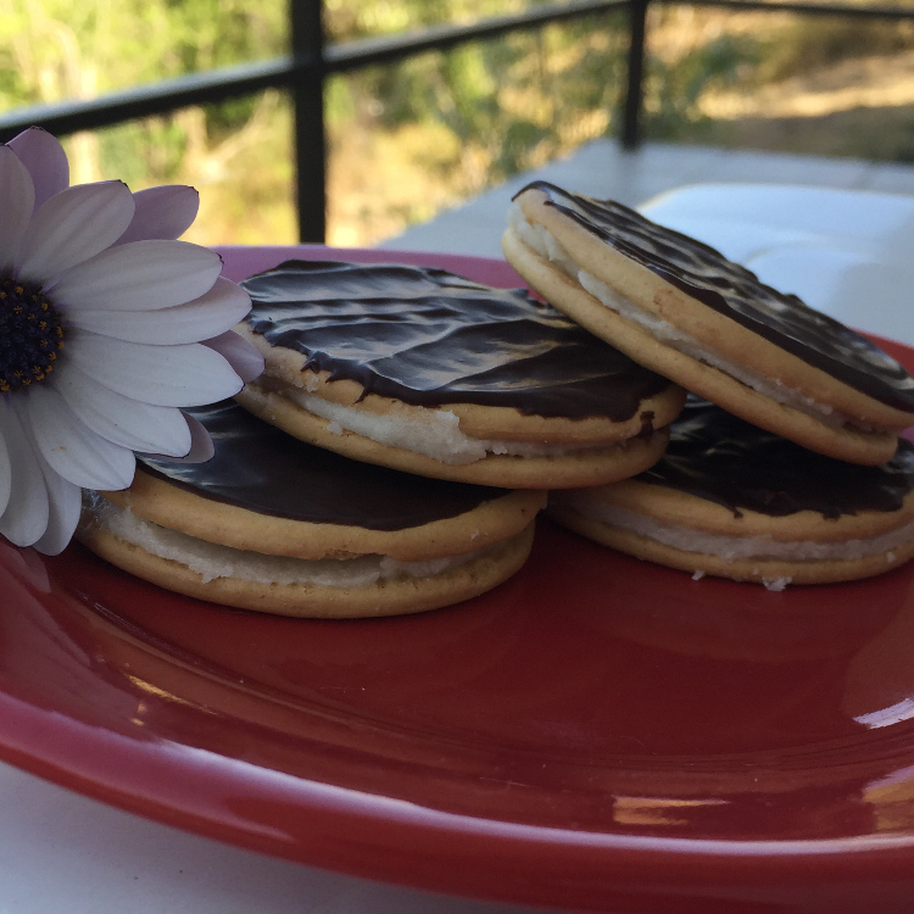 Homemade Titas (lemon vanilla chocolate snack)