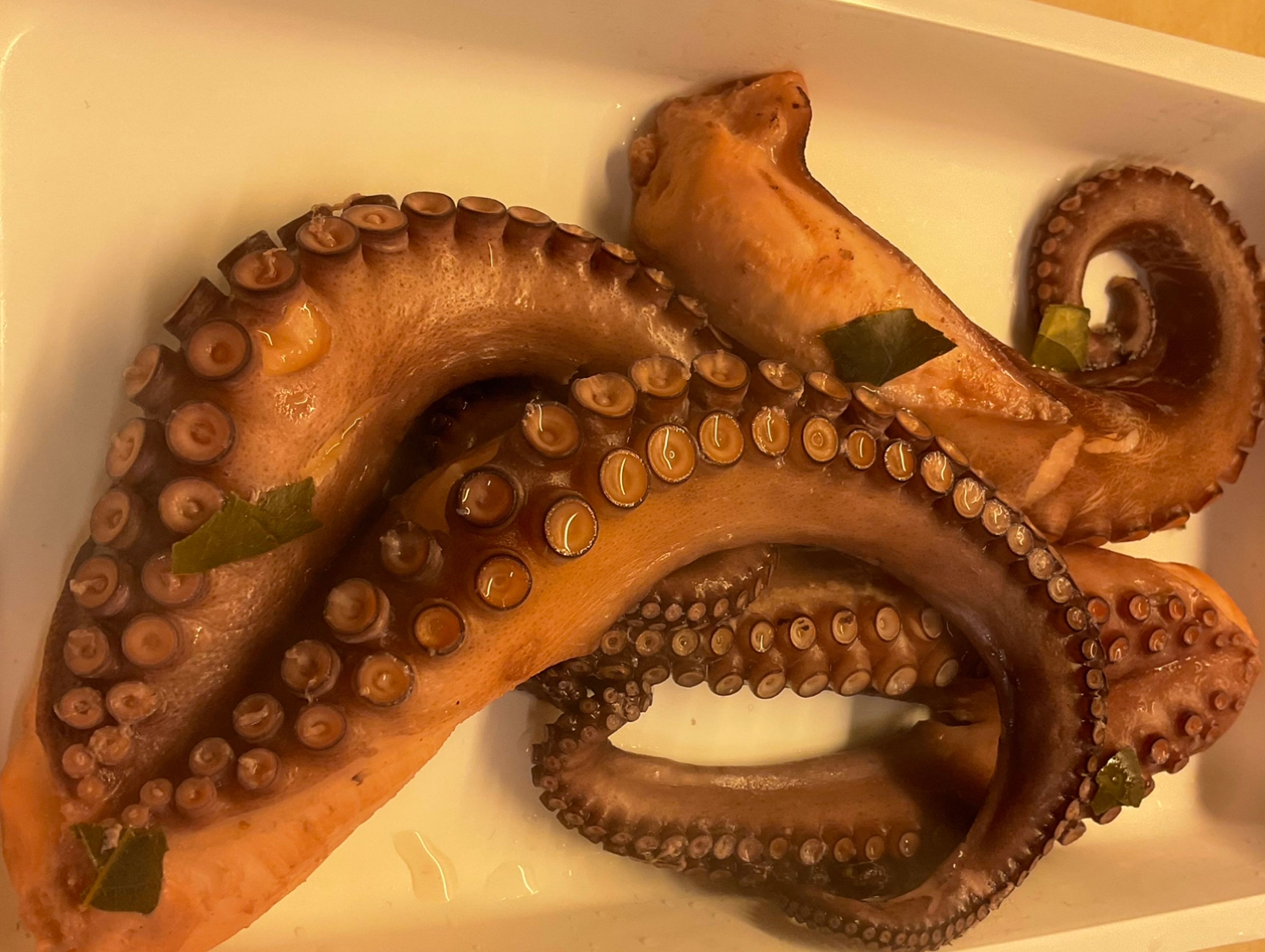 Der Pulpo ist mal wieder super weich gelungen, mit dezentem Geschmack gaaanz leicht nach Wacholder, Lorbeer und selbst die Fenchelknolle schmeckt man raus.