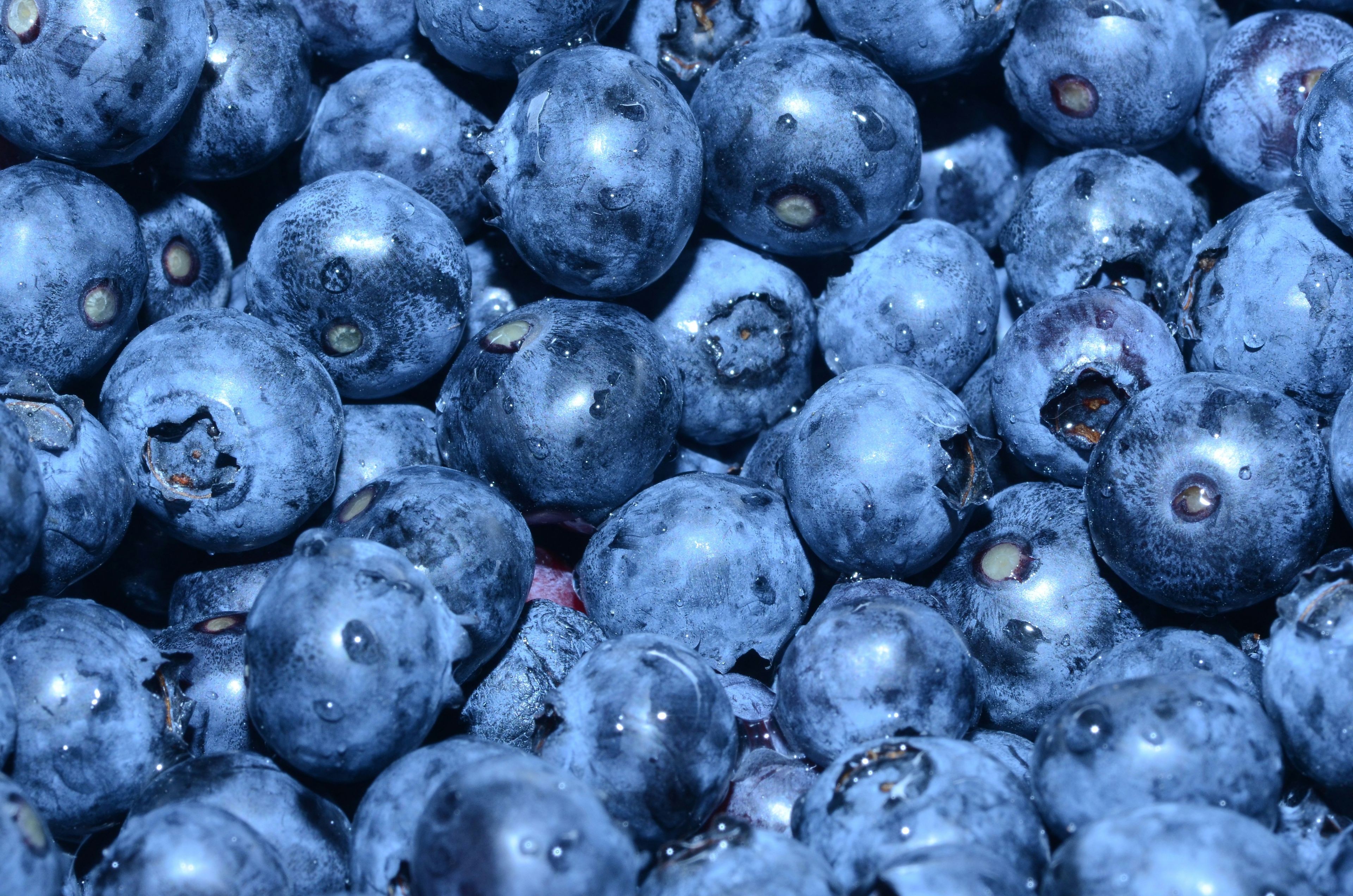 Pesticides Found – Recall of Blueberries at Penny