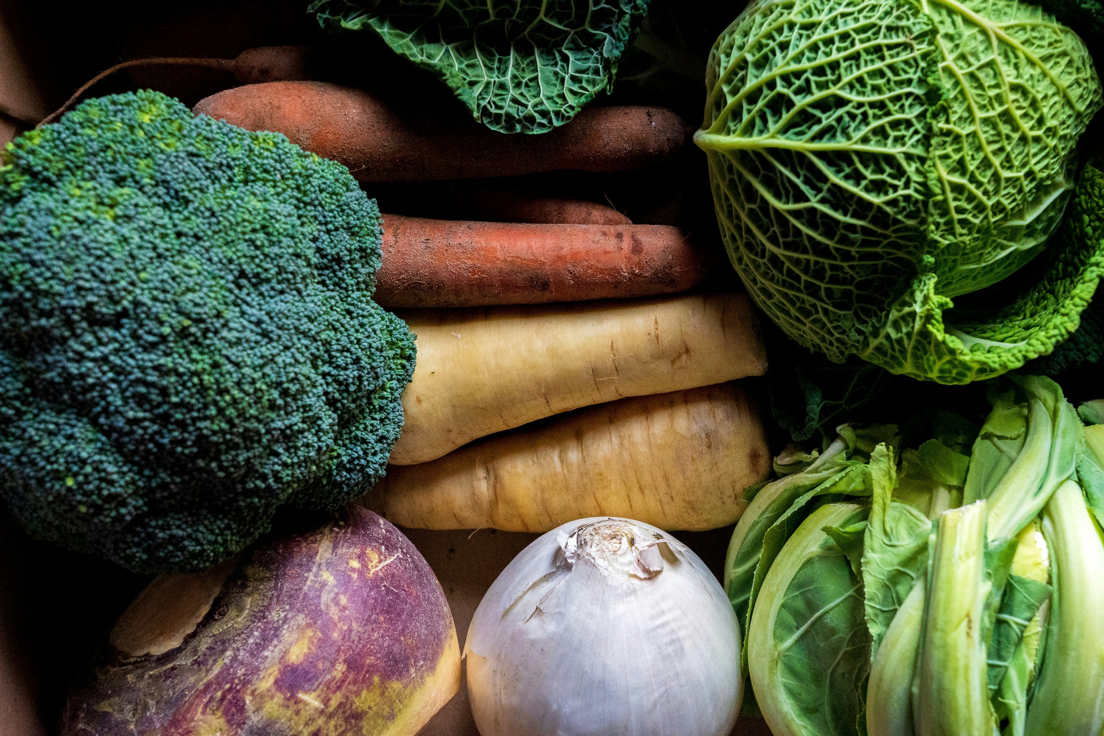 Fruit Logistica 2025: Fruchthandelsmesse diskutiert Preissteigerungen