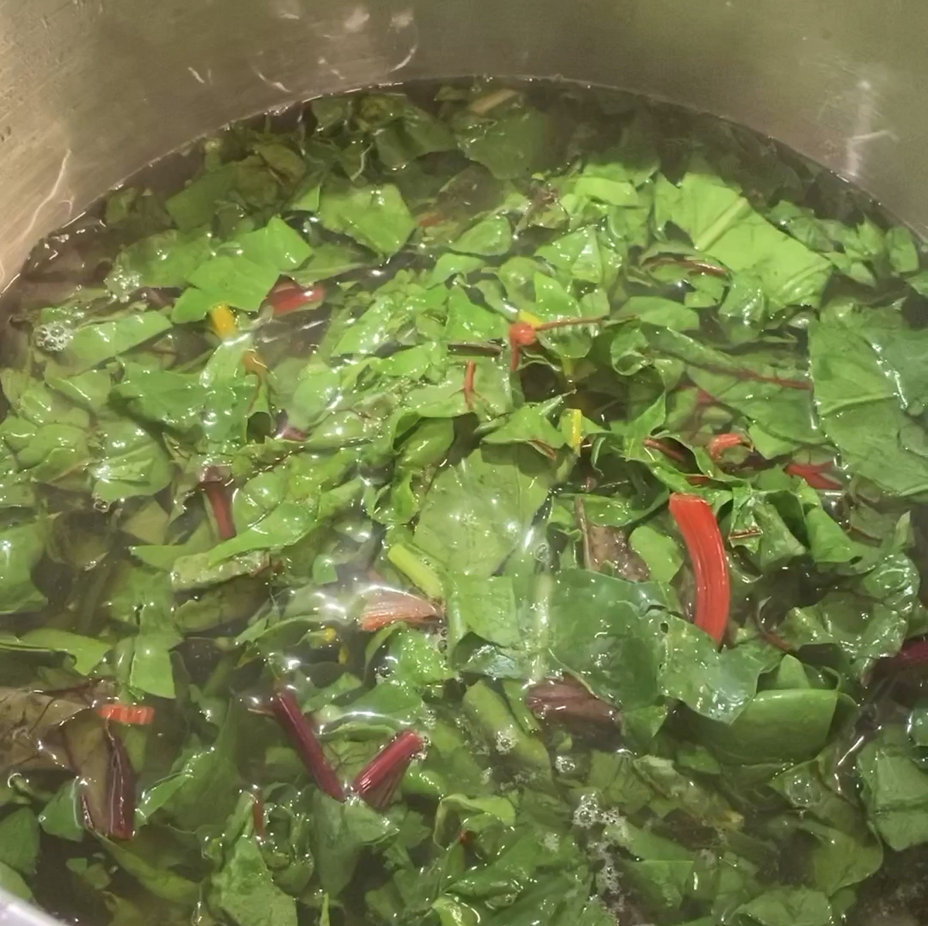 Dann die Mangoldblätter ins kochende Salzwasser geben - nur einmal aufkochen lassen - und sofort abgießen und mit kaltem Wasser abschrecken, auch mit Küchenpapier abtupfen.