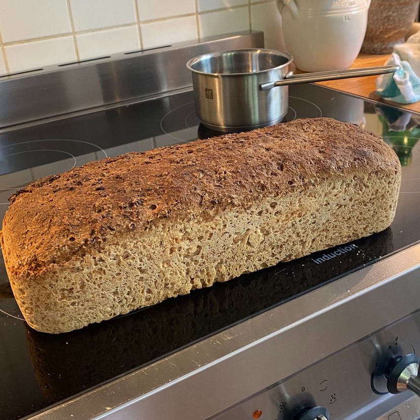 The best whole grain bread
