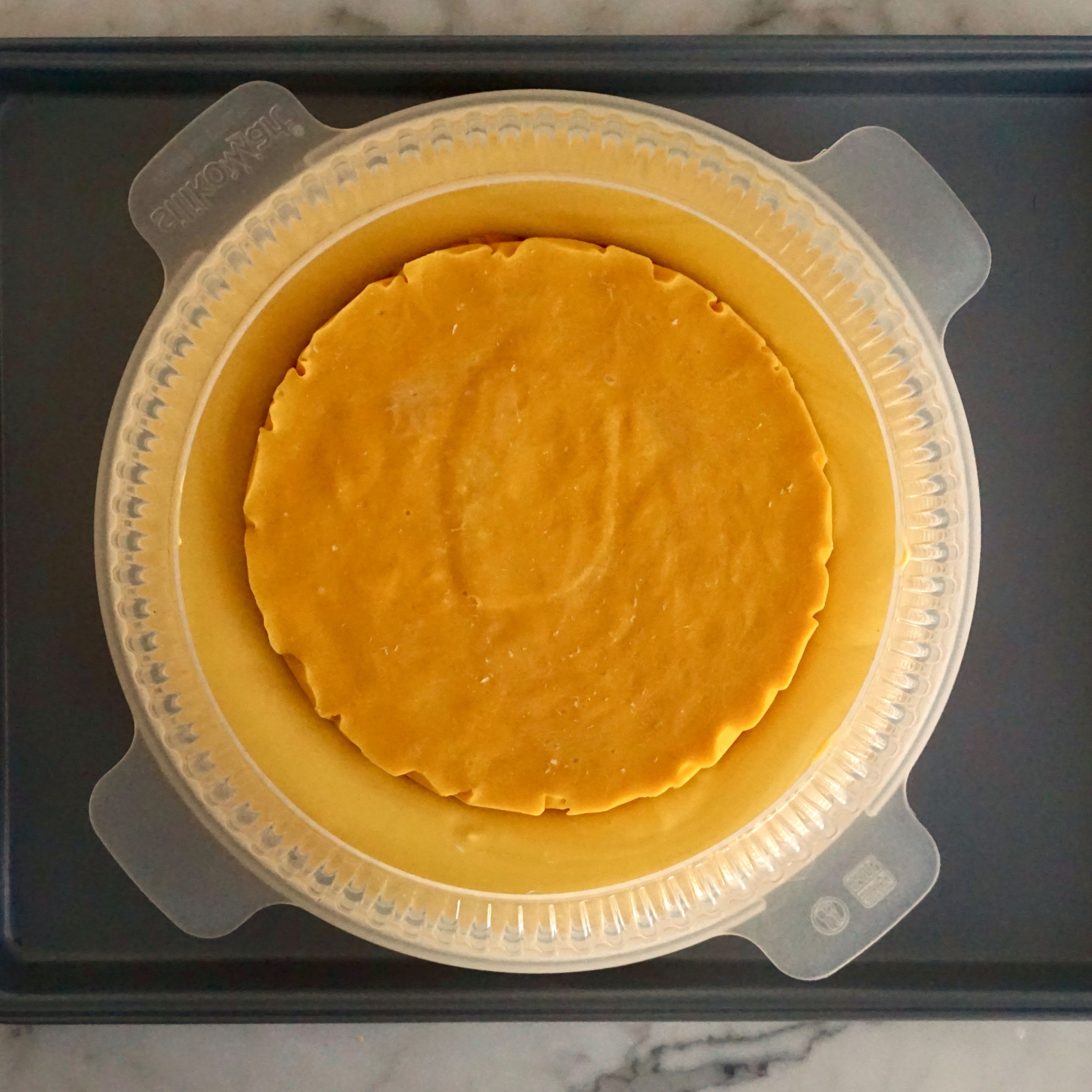 1/2 Gelatineblatt in kaltem Wasser einweichen. Maracujanektar mit 15g Zucker und 1 EL Zitronensaft aufkochen. In einer Schüssel das Ei verquirlen. Langsam den heißen Maracujanektar dazugeben und gut verrühren. Alles zurück in den Topf geben, unter Rühren einmal aufkochen und im Anschluss von Herd nehmen. Tortenring (14cm Durchmesser) mit Frischhaltefolie auslegen. Gelatine ausdrücken und in Topf geben. Butter zufügen und mit Stabmixer mixen. Creme in den vorbereiteten Ring gießen und gefrieren.