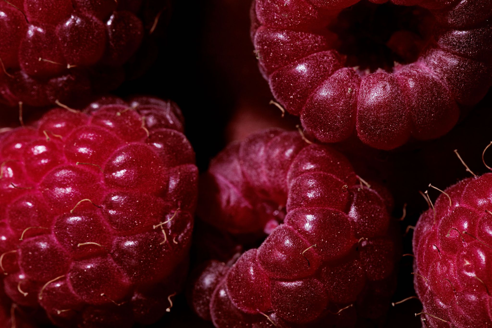 Everything to Know About Shopping, Storing, and Preparing In Season