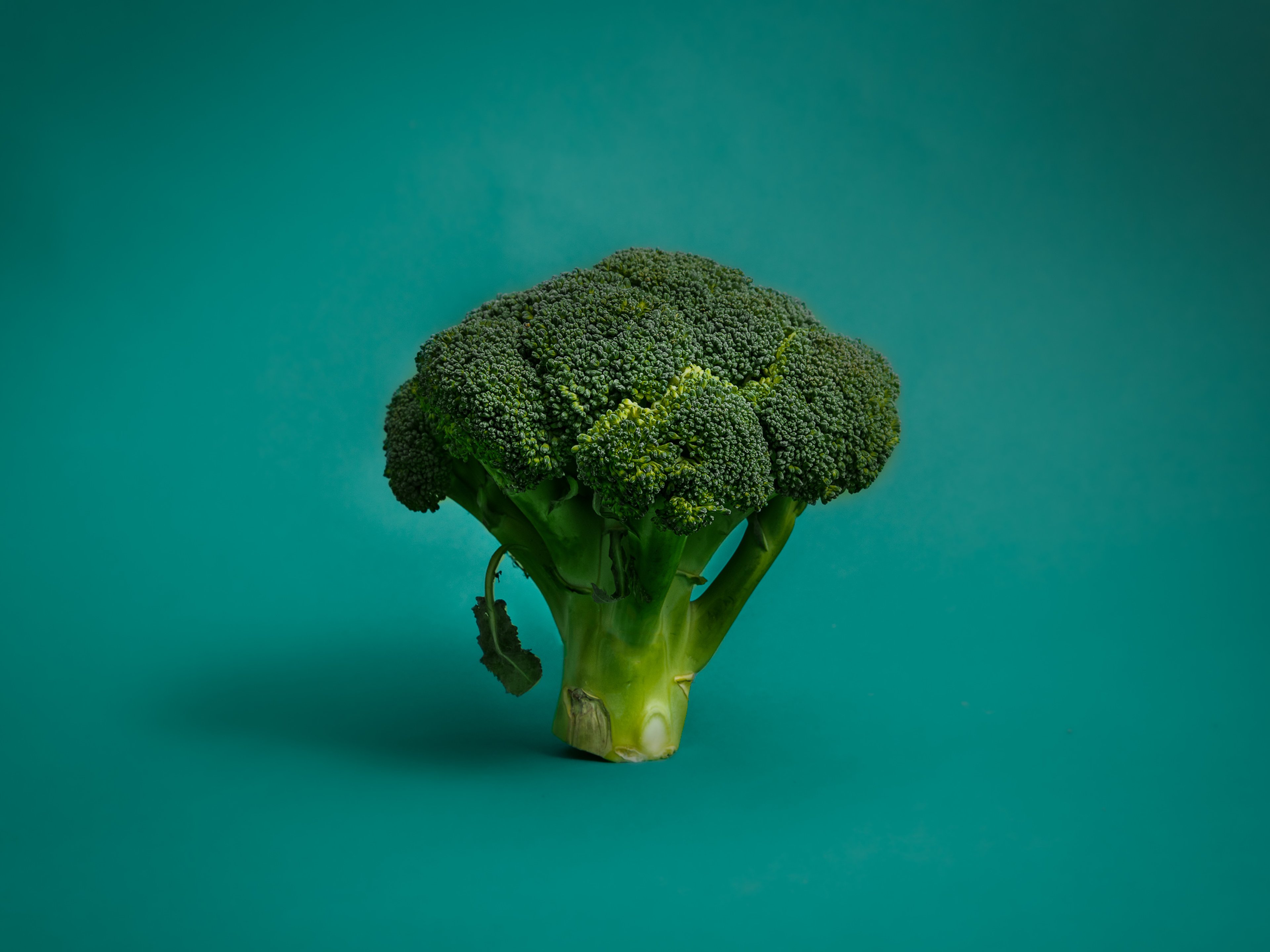 Everything You Need to Know About Preparing and Storing Broccoli