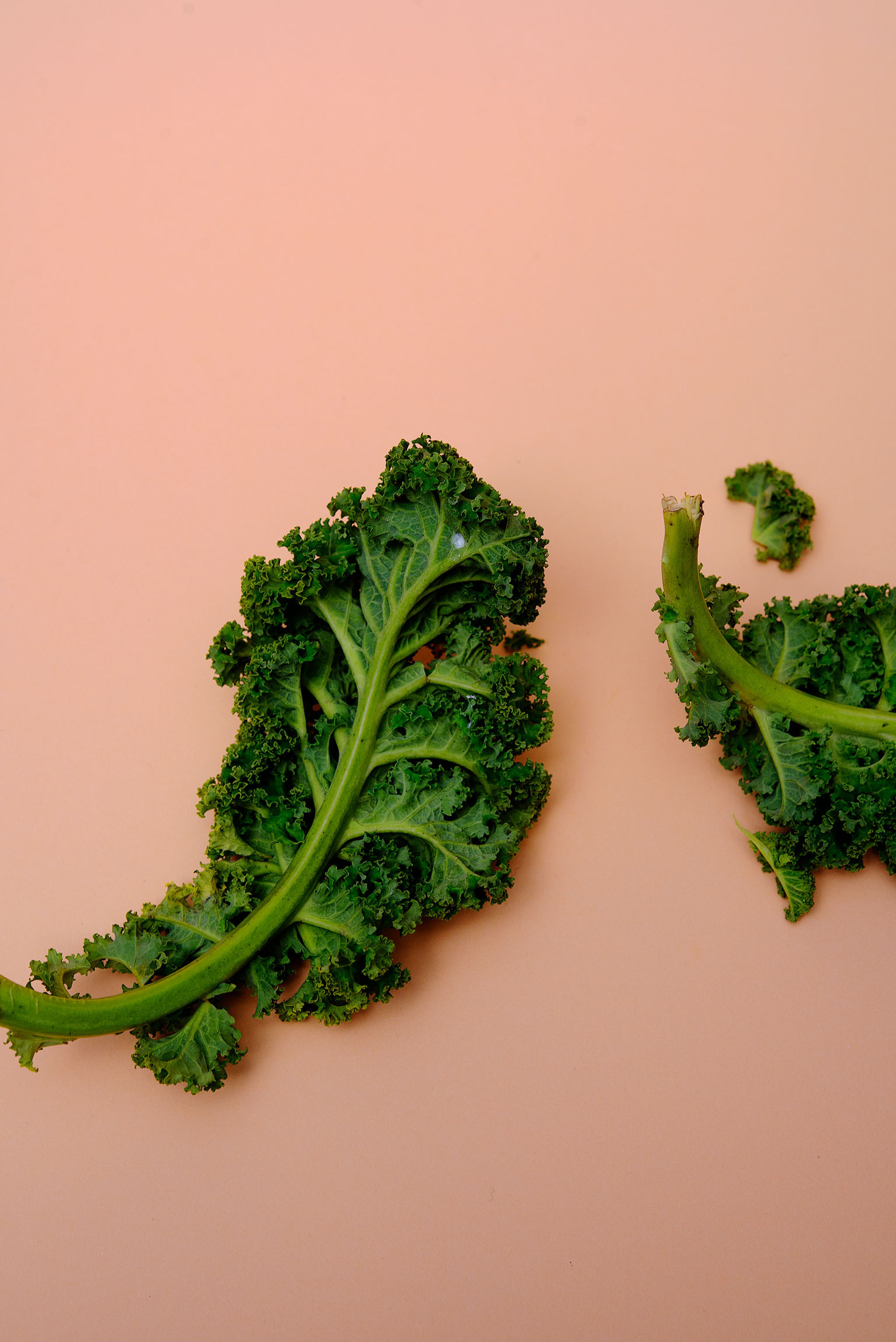 Everything to Know About Cooking and Shopping for In Season Kale