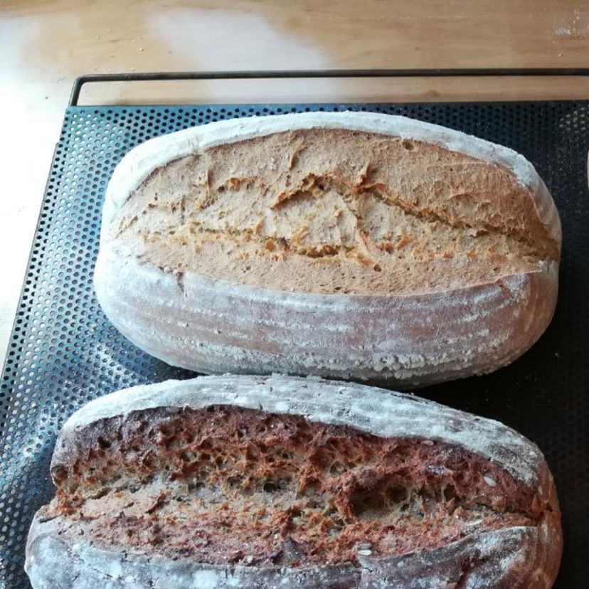 Mischbrot (Stuten)