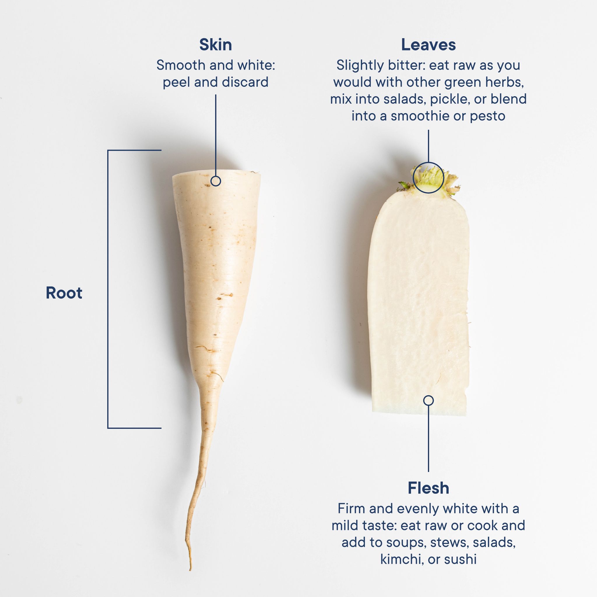Everything You Need to Know About Preparing and Storing In Season