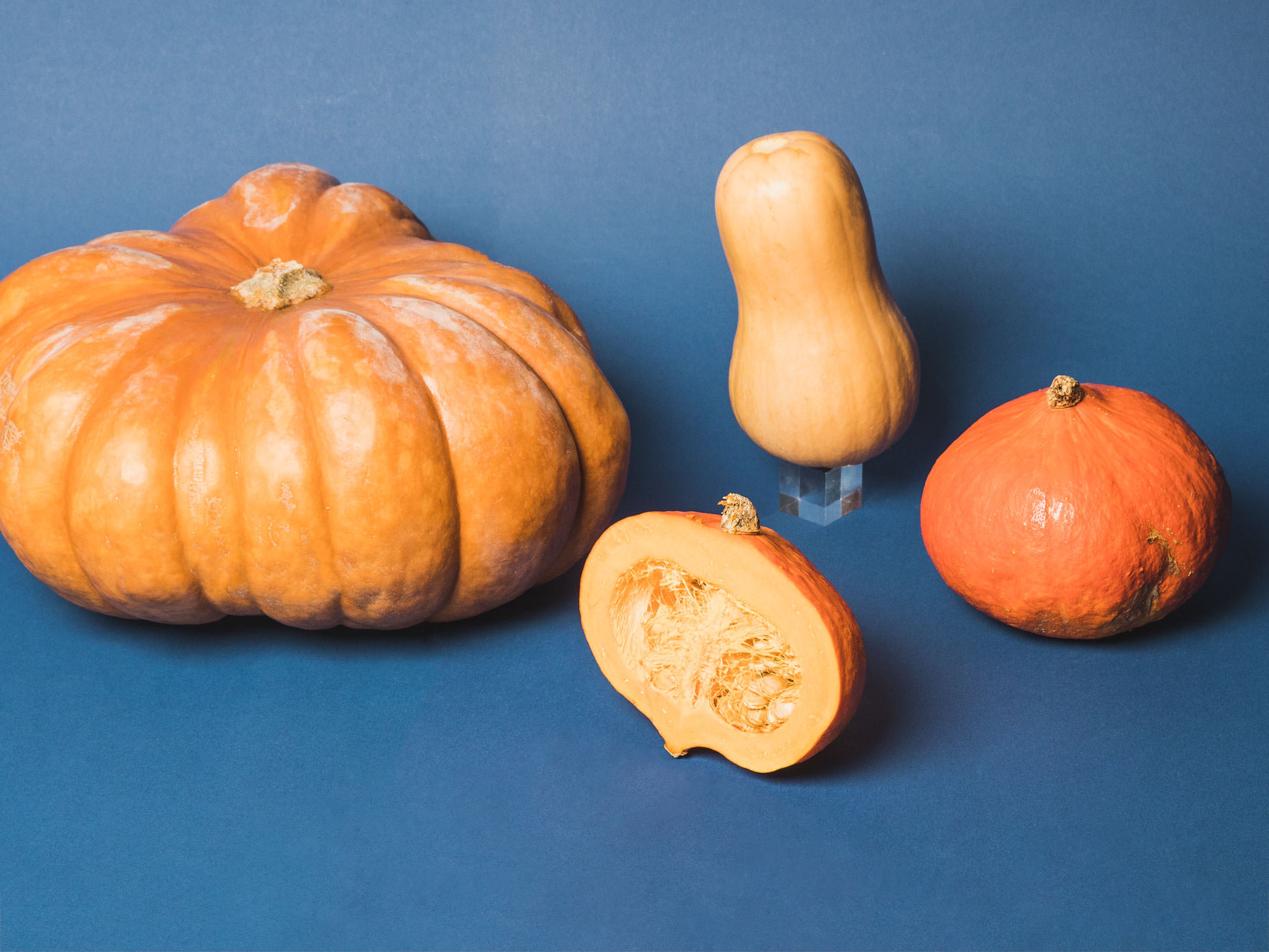 Everything to Know About Cooking and Shopping for In Season Winter Squash
