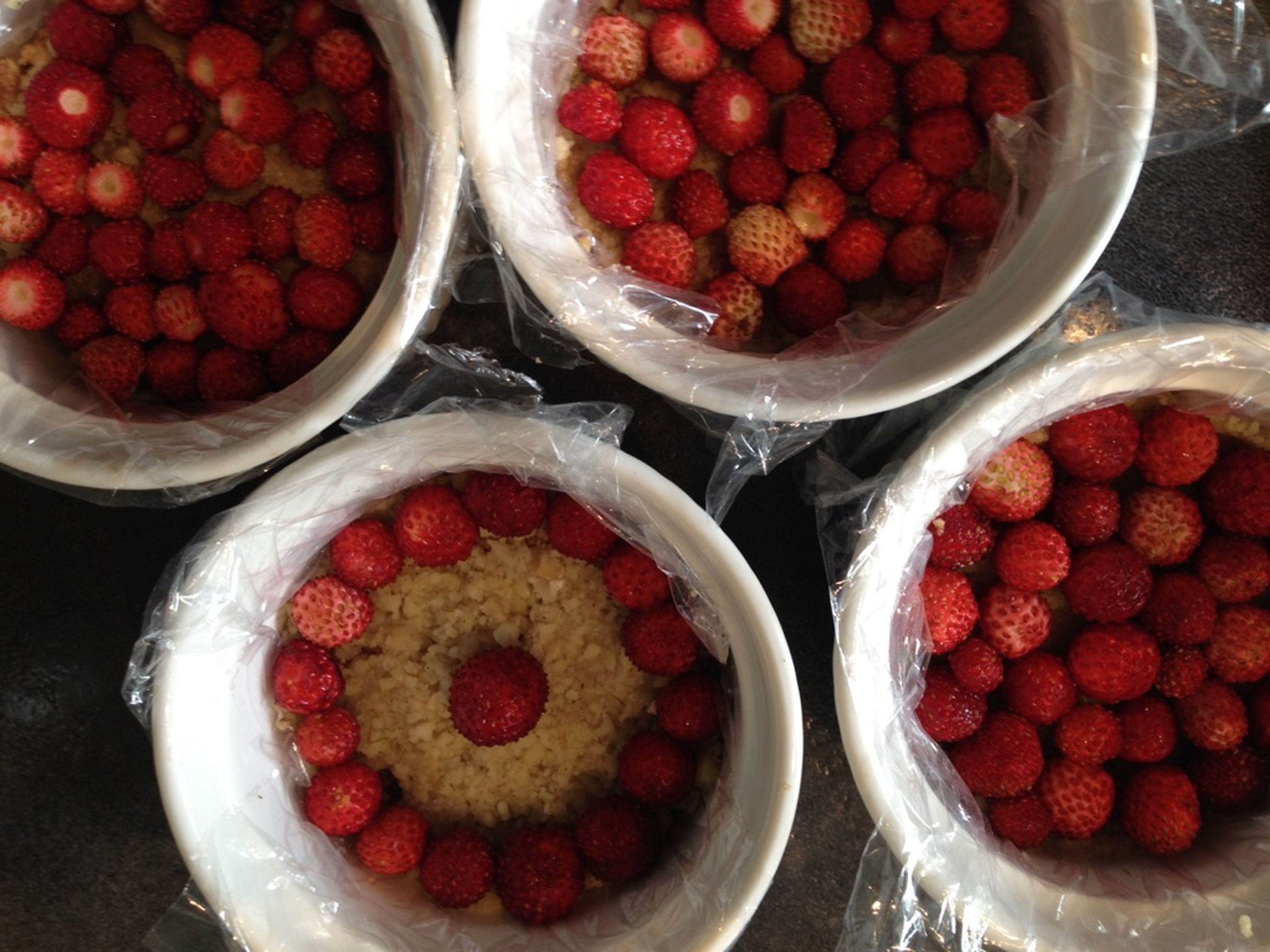 Die Böden mit den Erdbeeren belegen. Wenn der Blutorangen-Guss etwas abgekühlt ist, über die Erdbeeren gießen. Förmchen leicht schwenken, damit die Erdbeeren besser davon umlaufen werden. Kühlen und erstarren lassen.