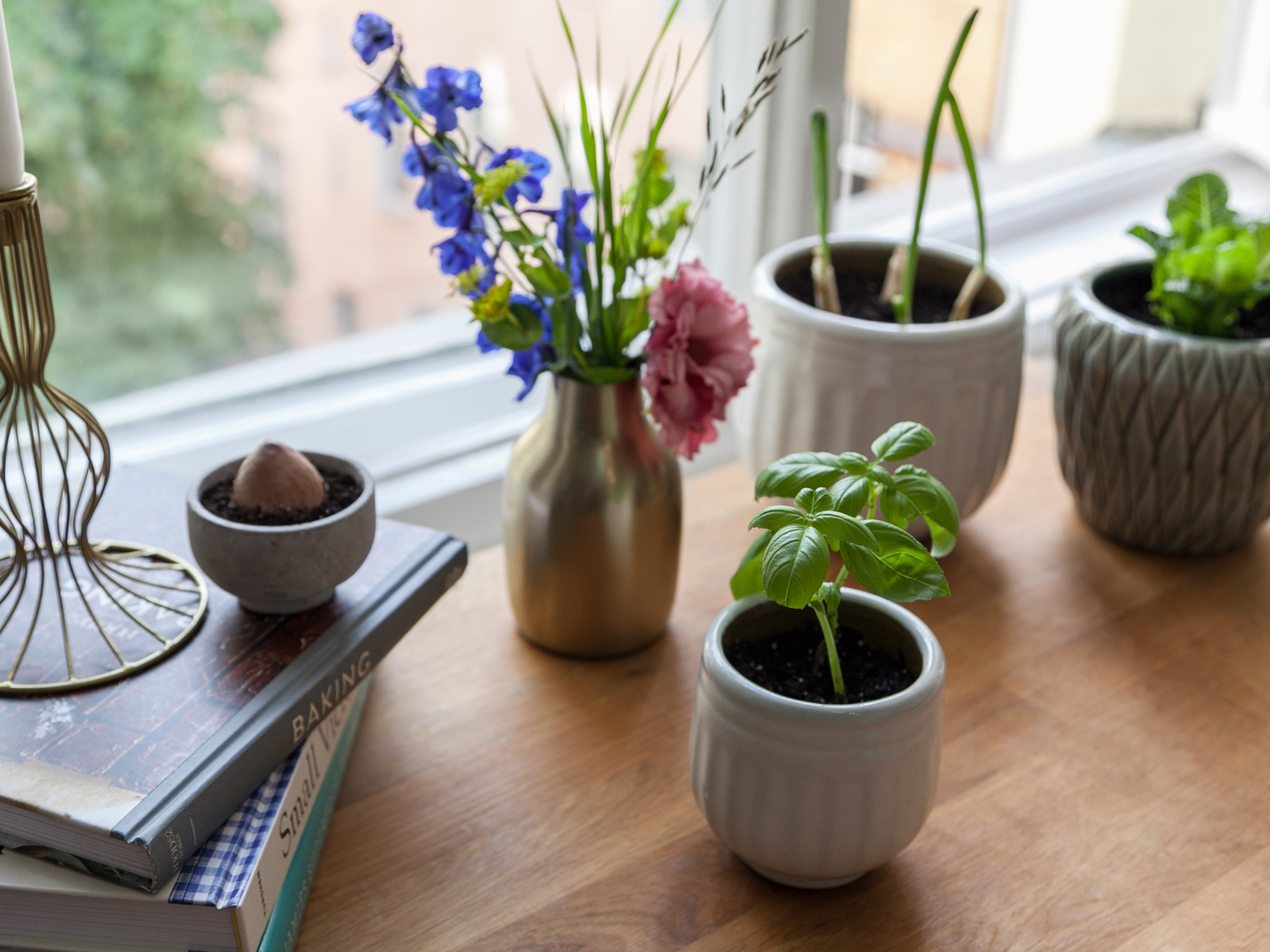 How to Regrow Herbs and Vegetables in the Kitchen