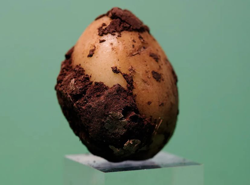 Diese Zutat verhindert, dass deine Kartoffeln keimen