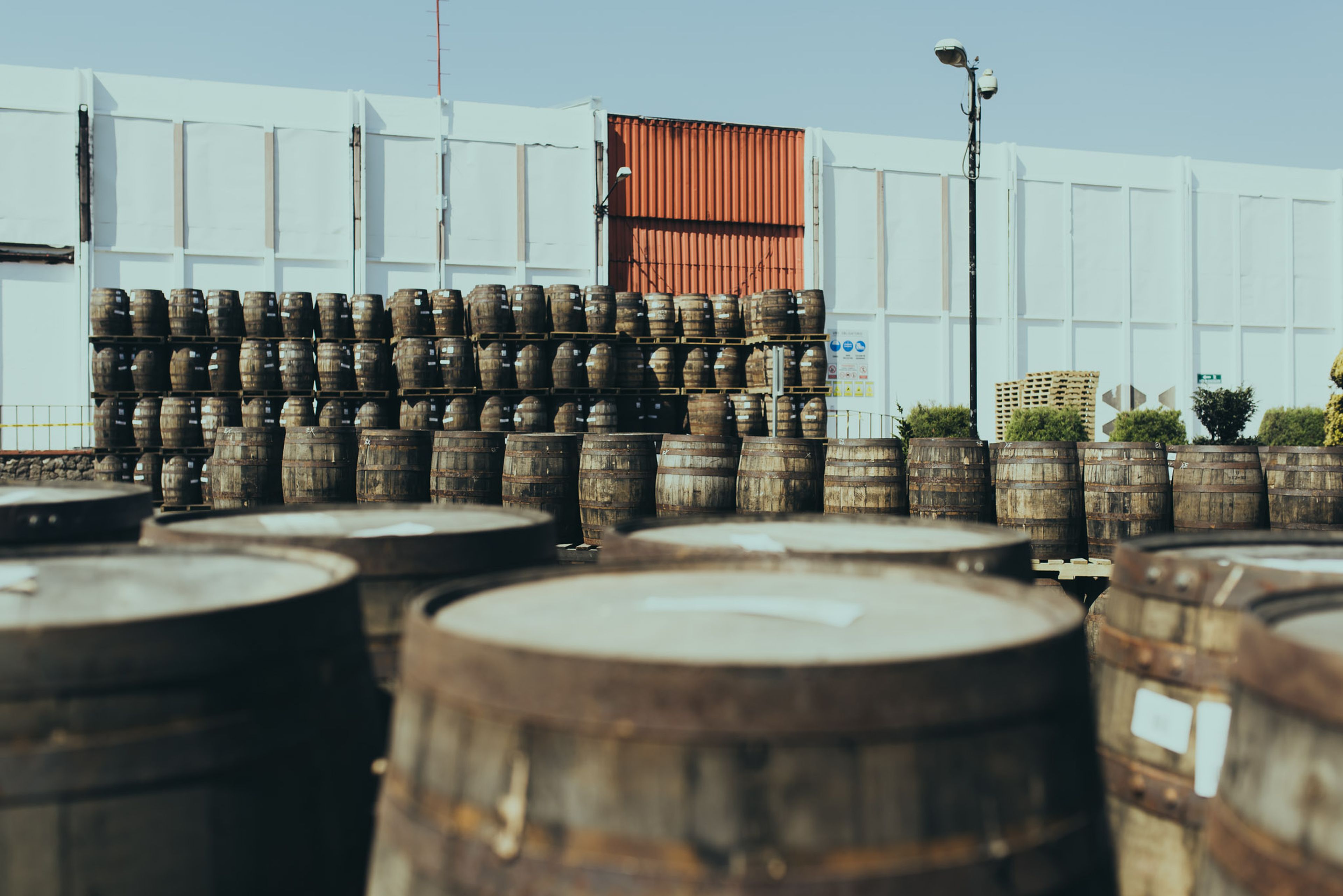 Barrels of Ron Zacapa Rum