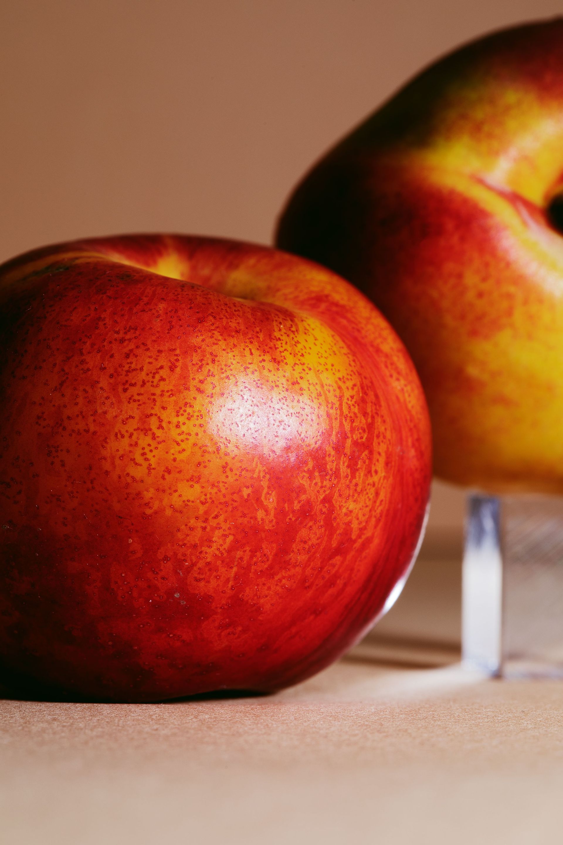 Everything to Know About Cooking and Shopping for In Season Nectarines