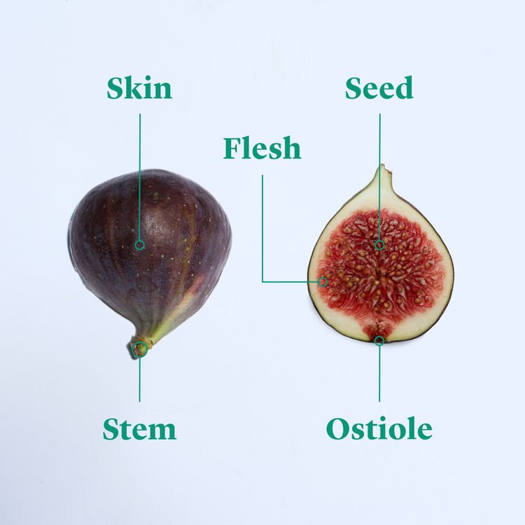 Everything to Know About Cooking and Shopping for In Season Figs ...