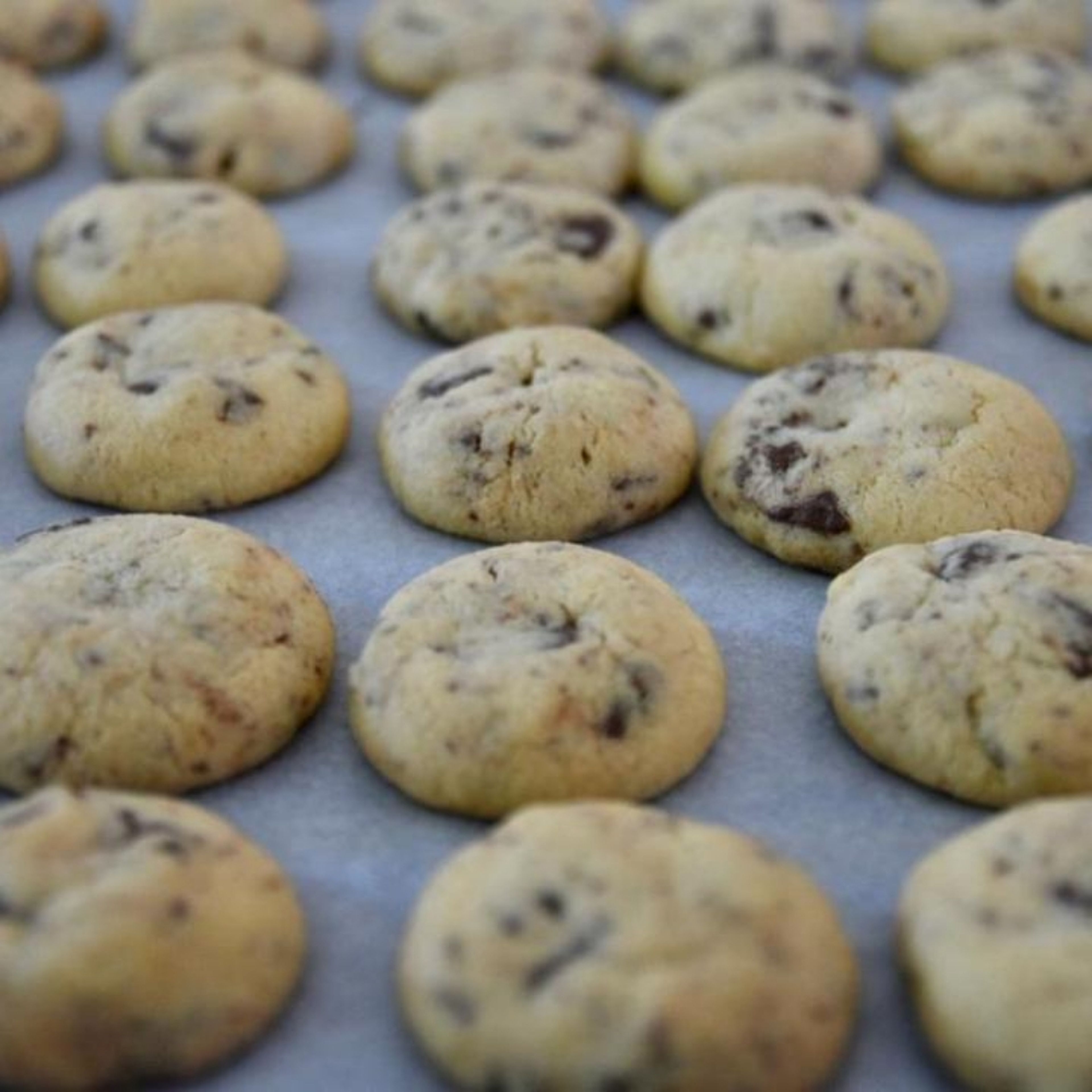 Die Backbleche in den Ofen schieben und Kekse bis zur gewünschten Bräunung backen (15-20 Minuten).