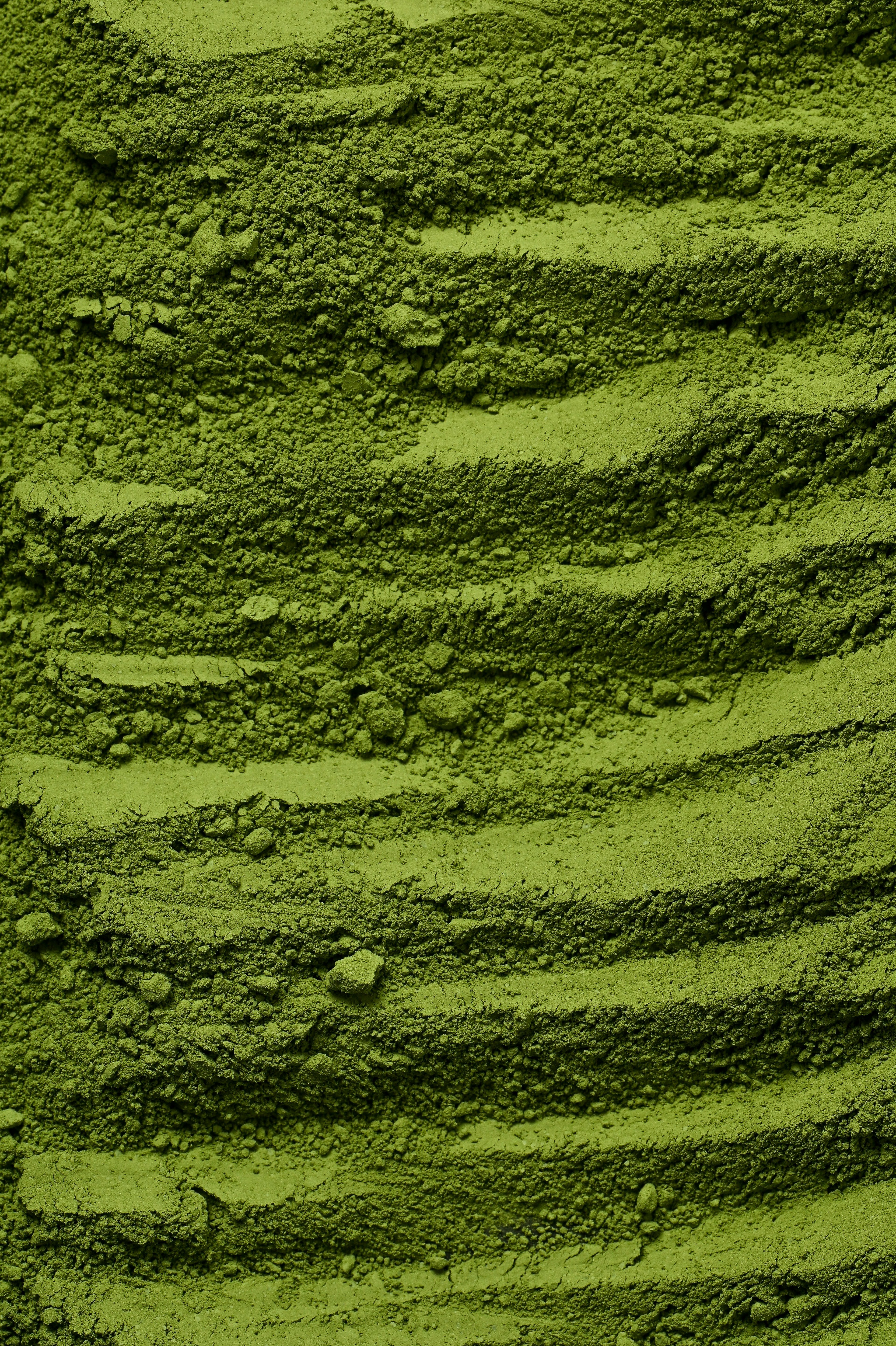 Die Welt trinkt zu viel Matcha: Wenn ein Trend für Engpässe sorgt
