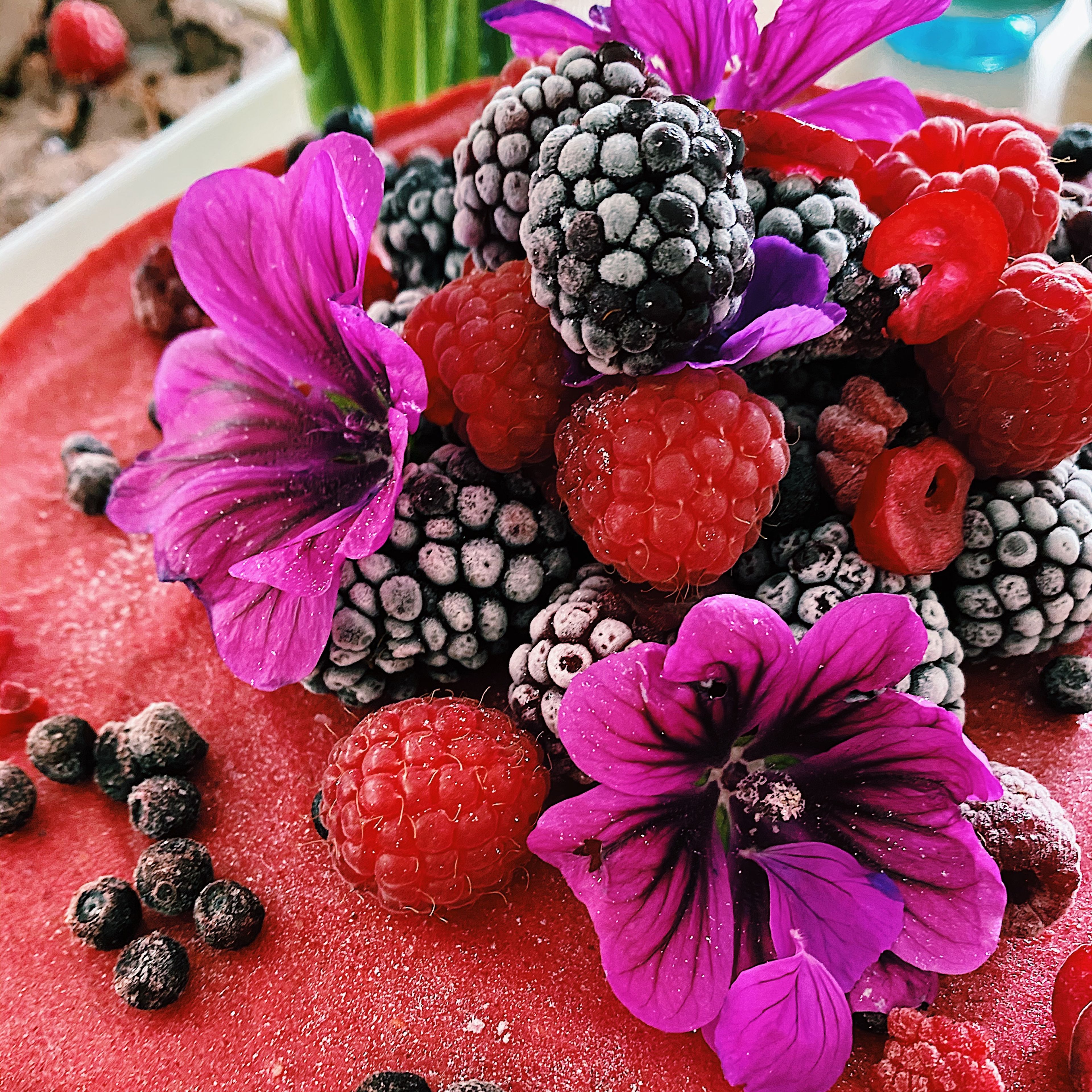 Let the cake defrost for 30–45 minutes before serving and decorate with frozen berries and blossoms , as desired.
