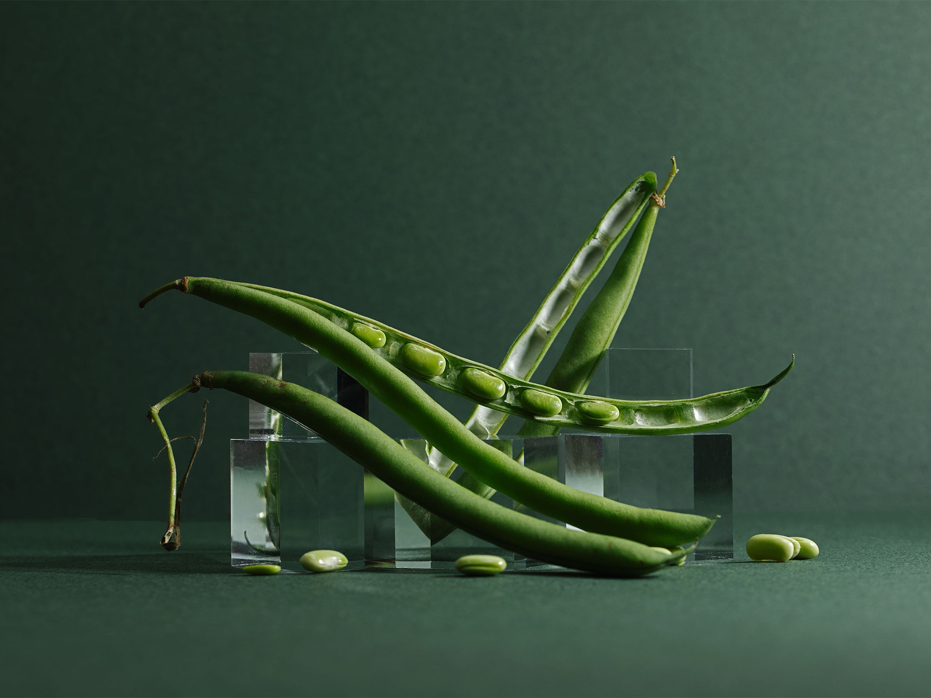Everything to Know About Cooking and Shopping for In Season Green Beans
