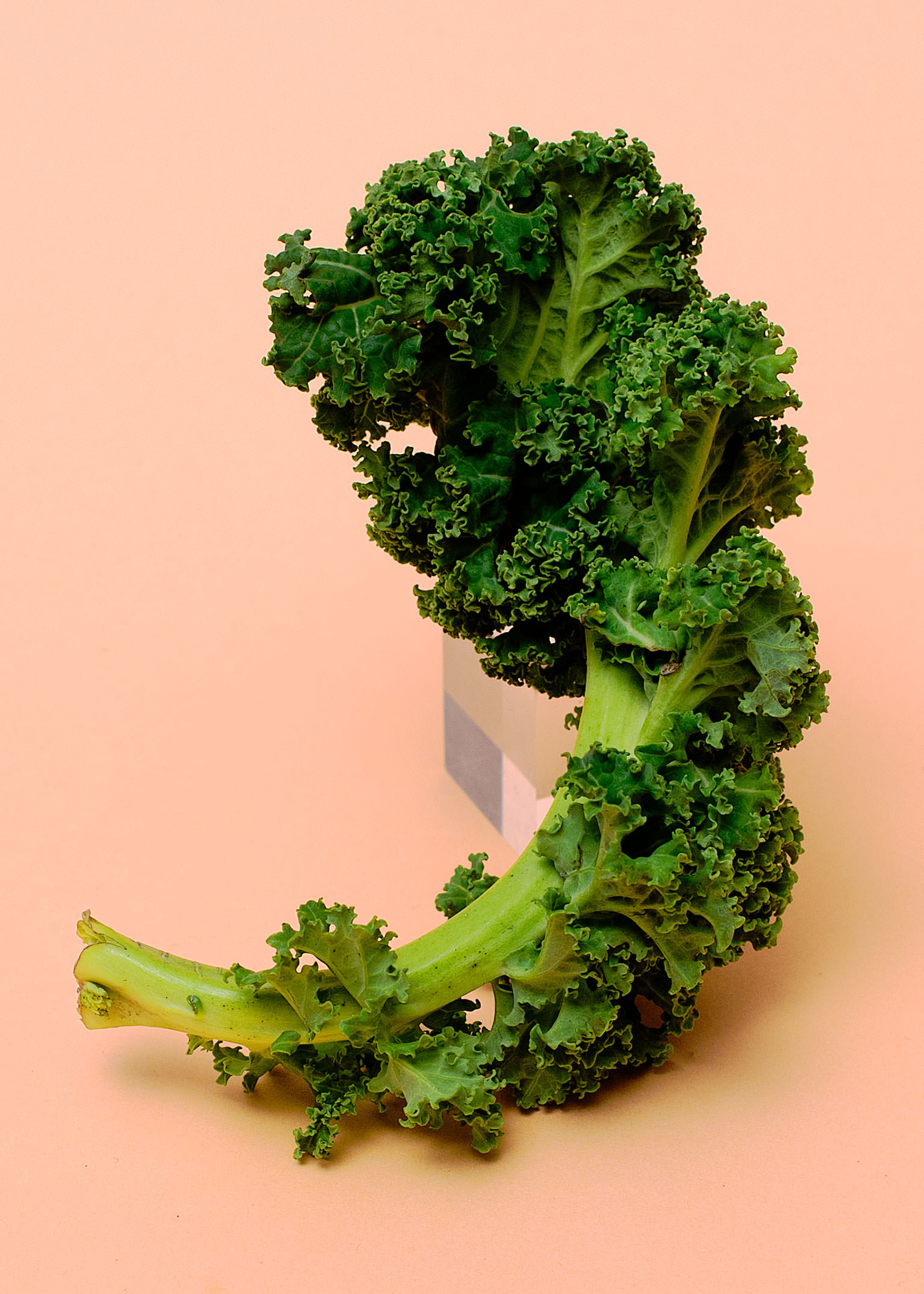 Everything to Know About Cooking and Shopping for In Season Kale, Stories