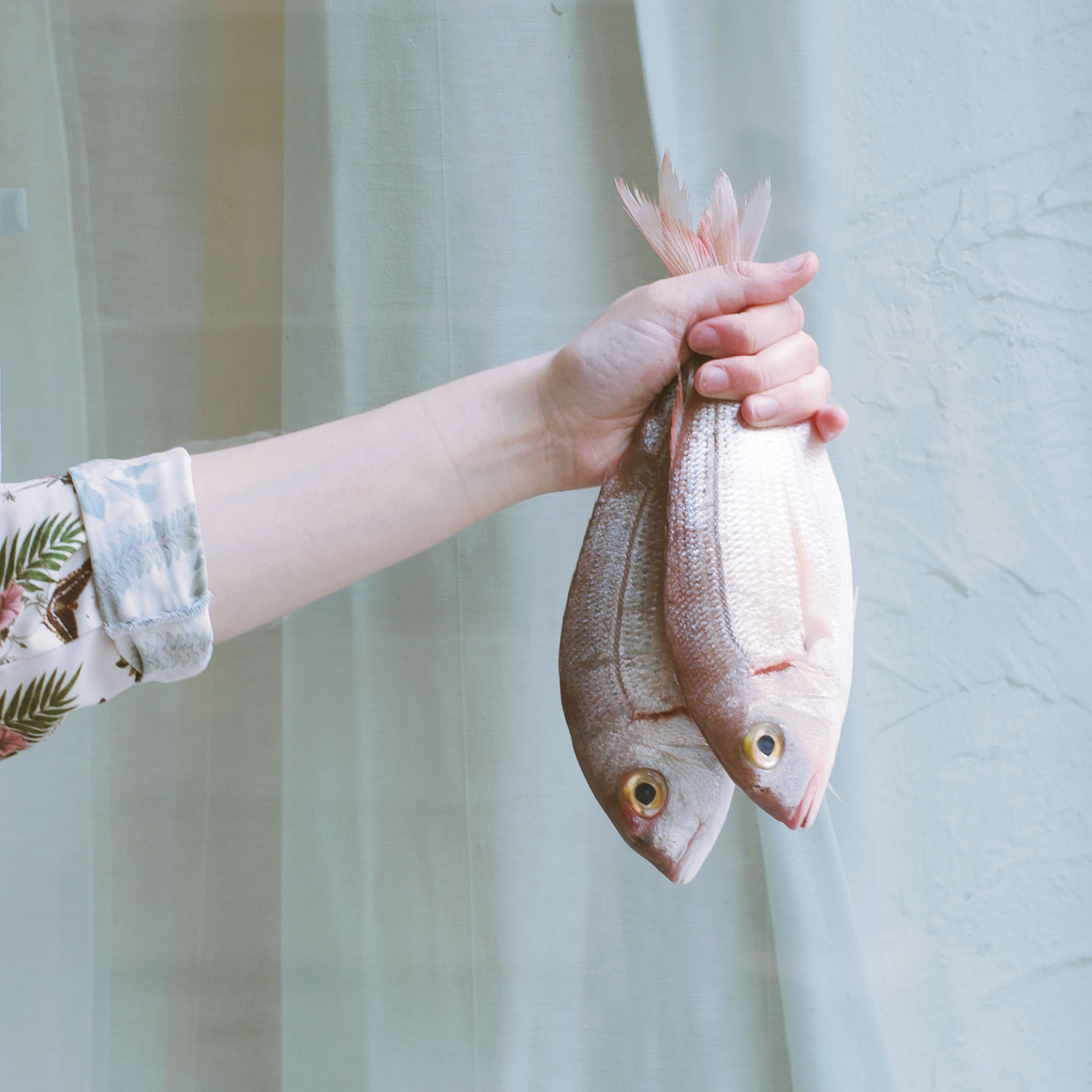 Wie du frischen Fisch erkennst