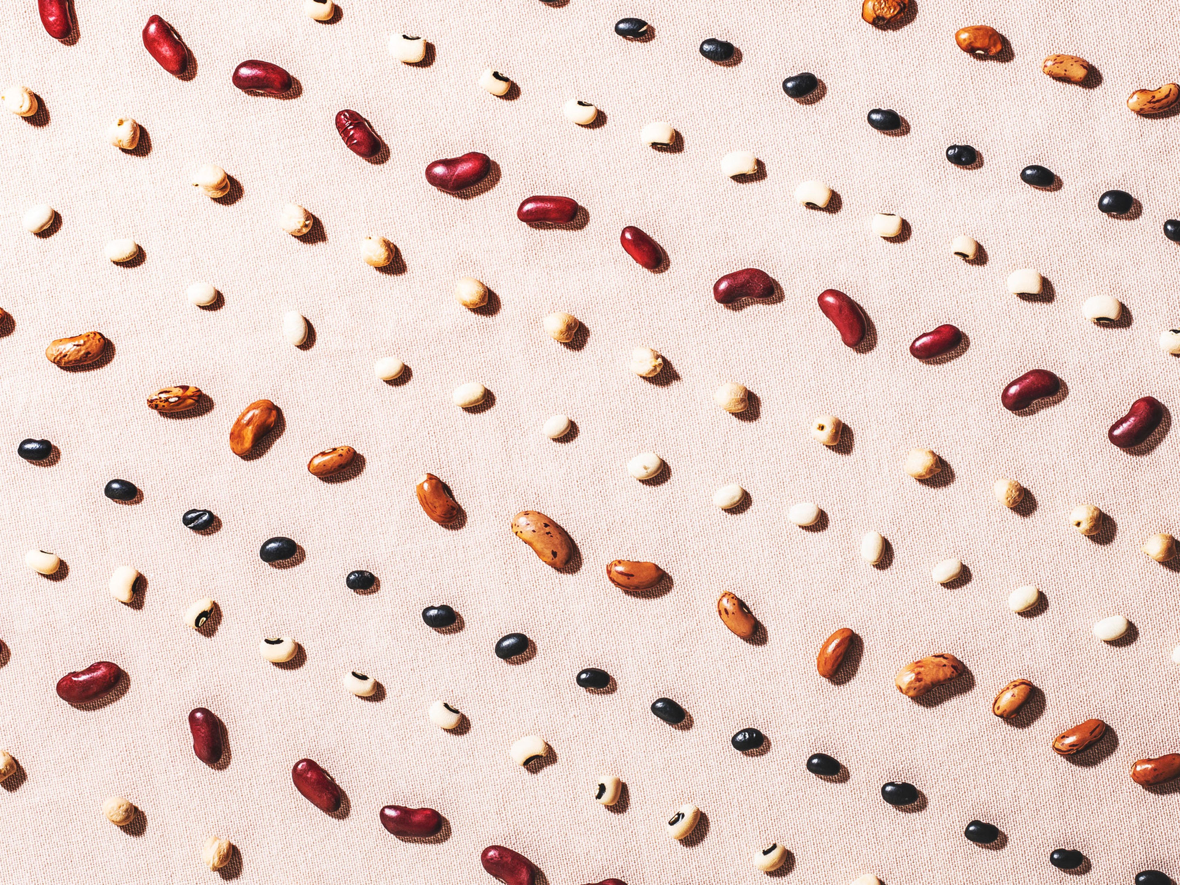 Spilling the Beans: A Guide to Our Favorite Legume
