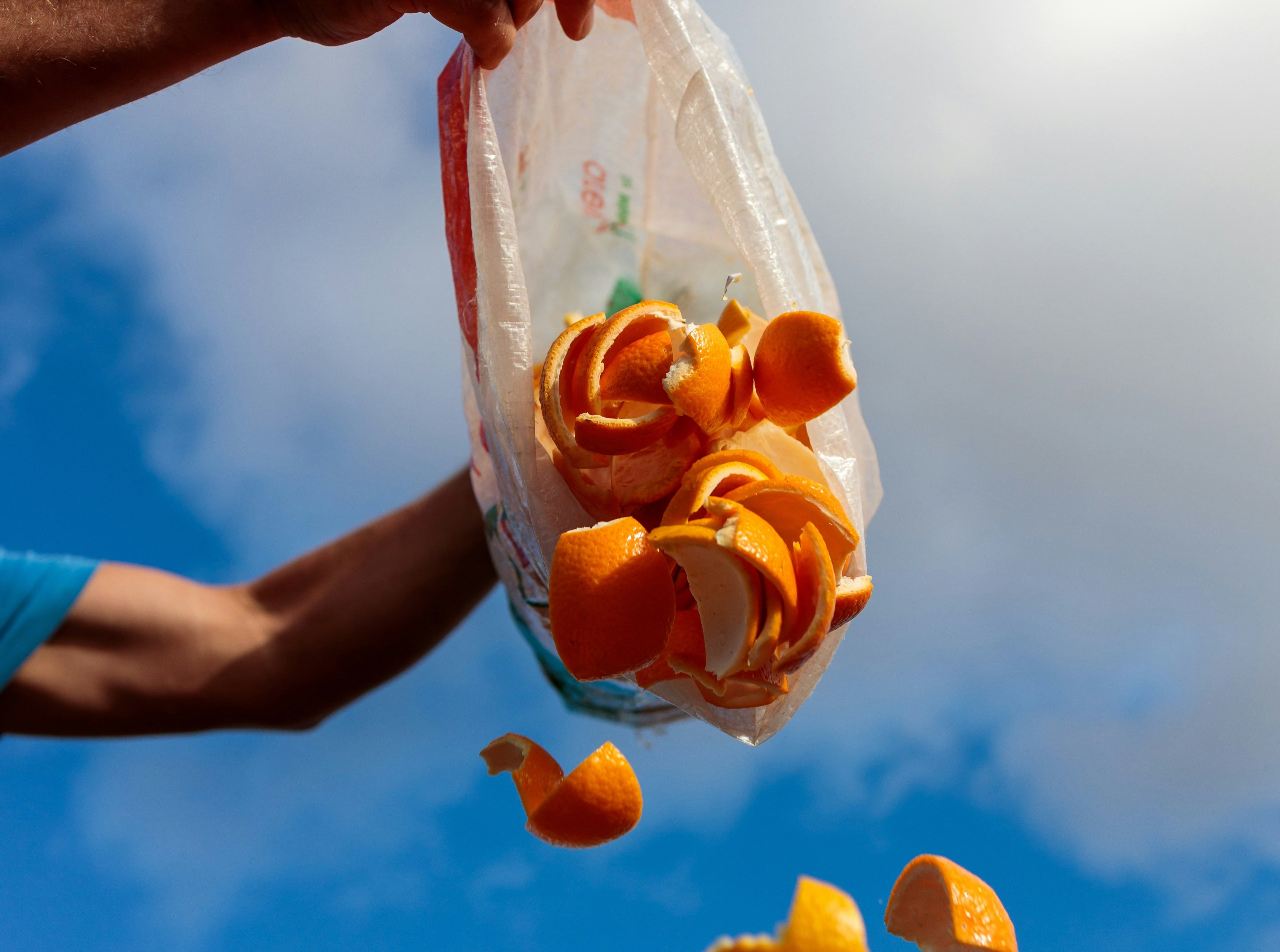 “Too Good For The Bin 2025”: Germany takes action again to stop tons of food waste