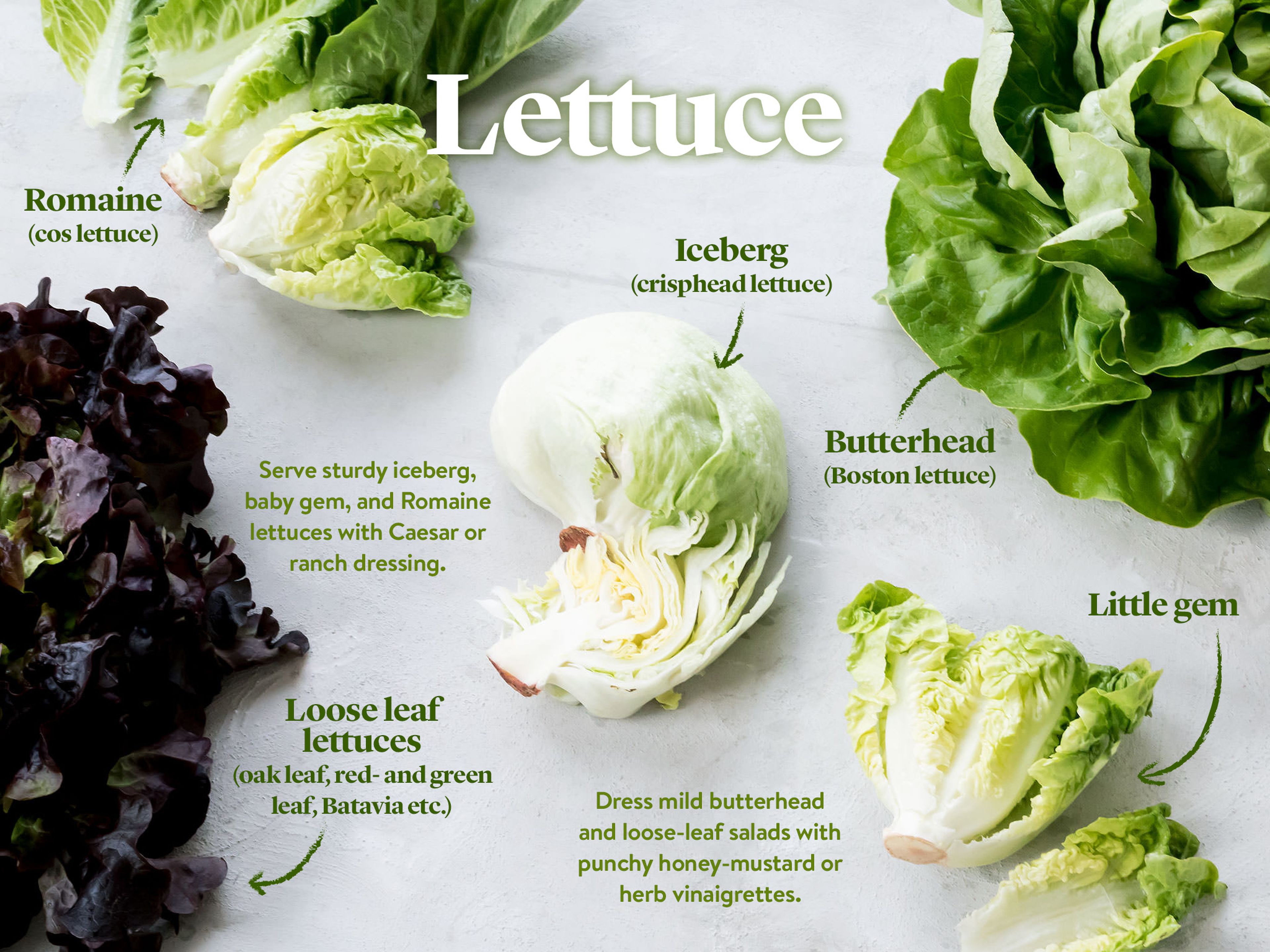 leaf lettuce types