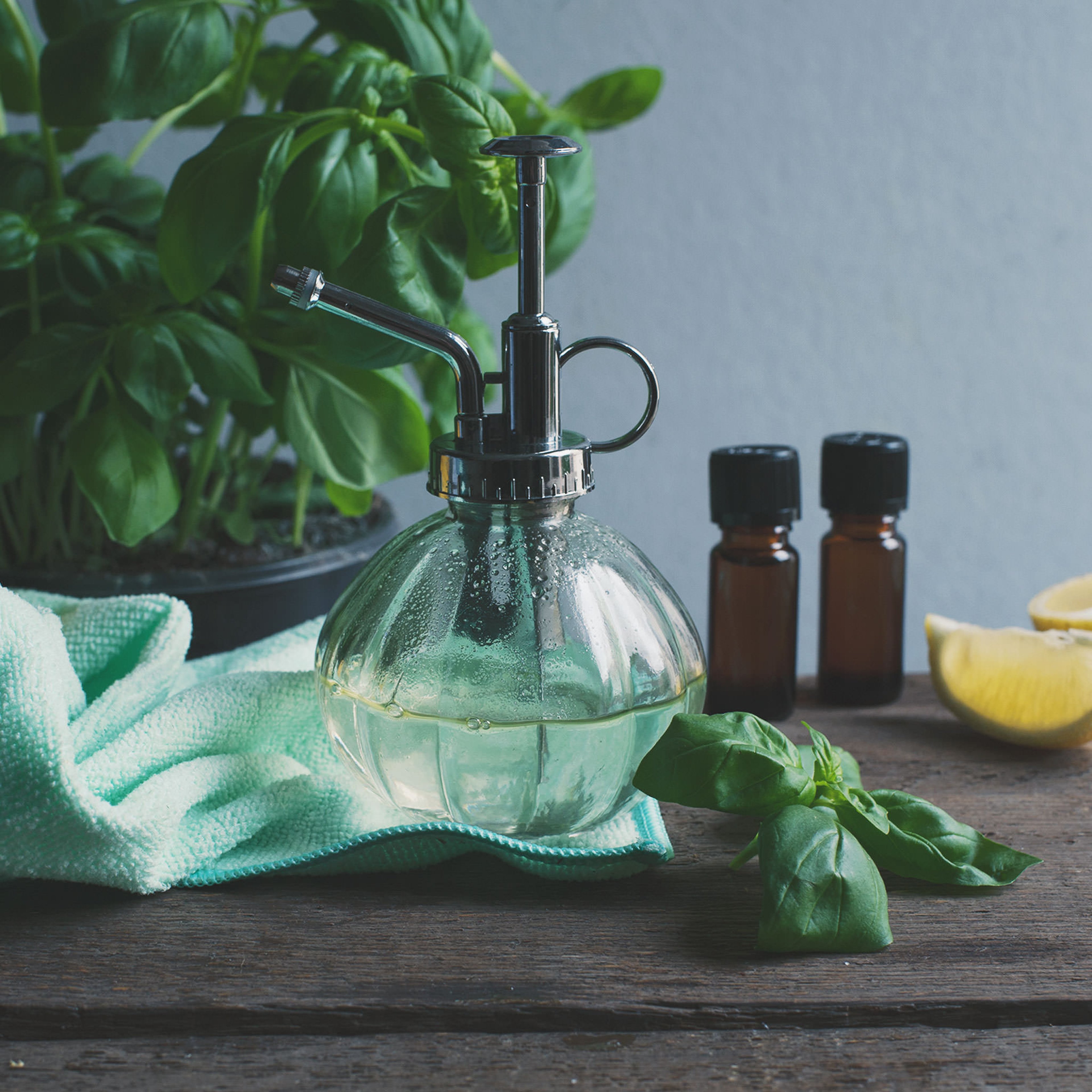 5 All-Natural Kitchen Cleaners