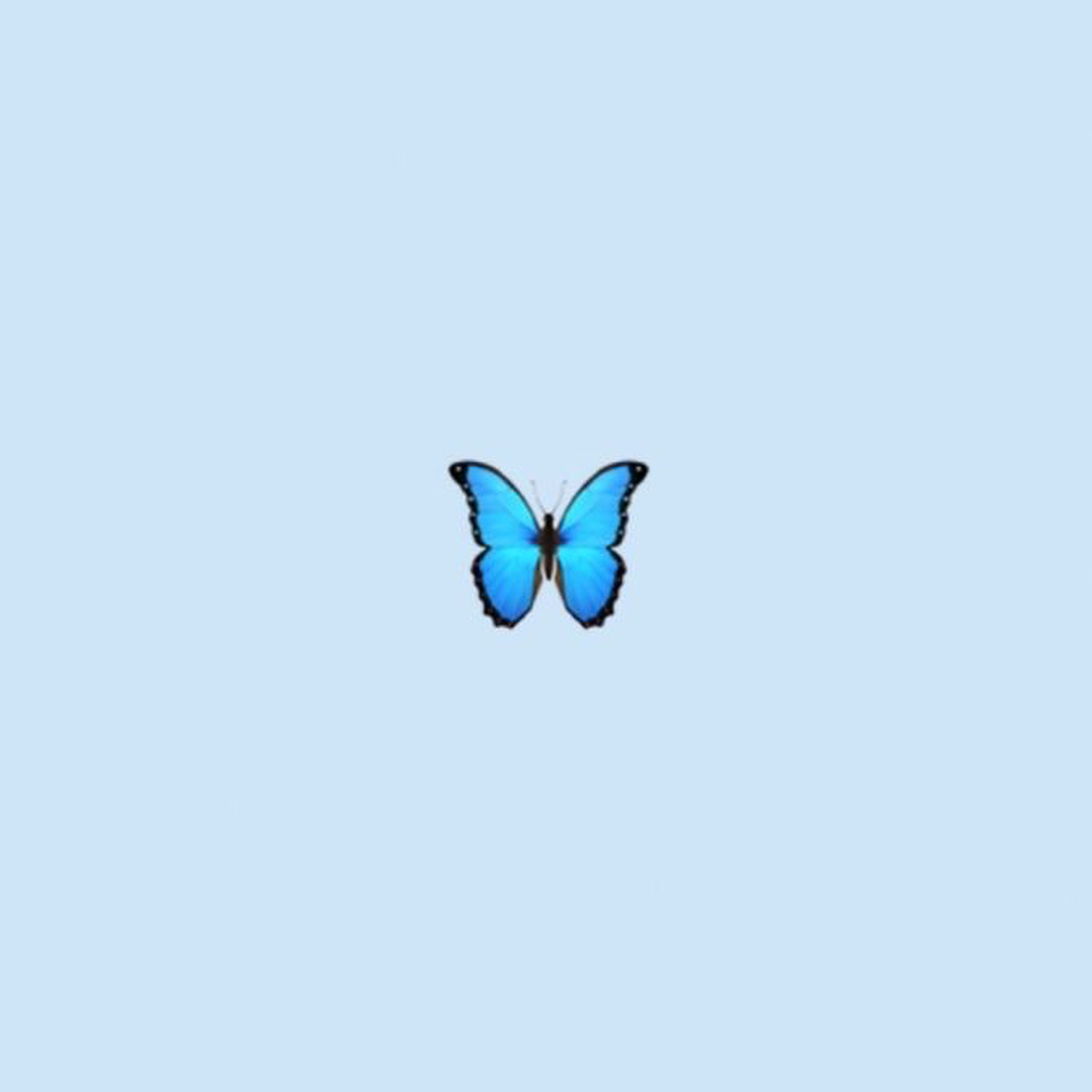 🦋✨T E S S✨🦋