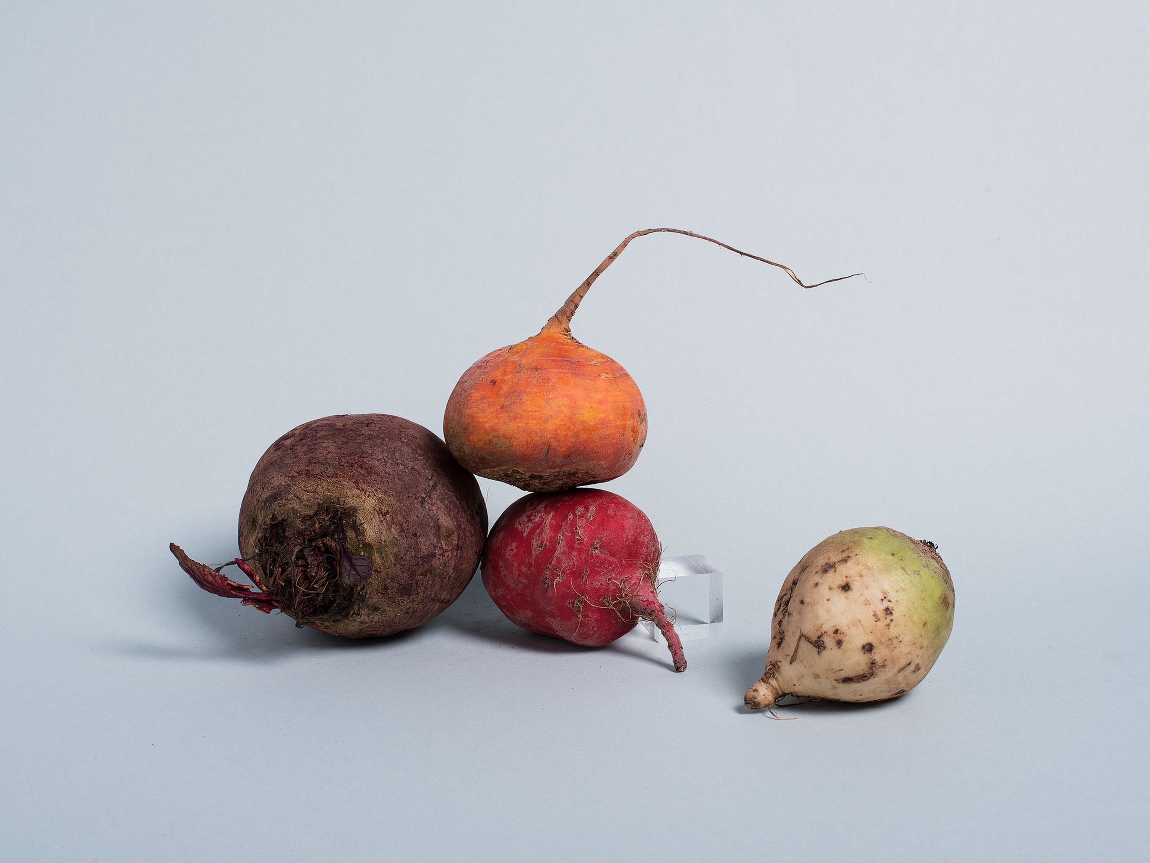 Everything to Know About Cooking and Shopping for In Season Beetroot