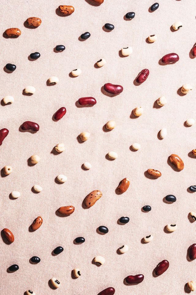 Spilling the Beans: A Guide to Our Favorite Legume | Stories | Kitchen ...