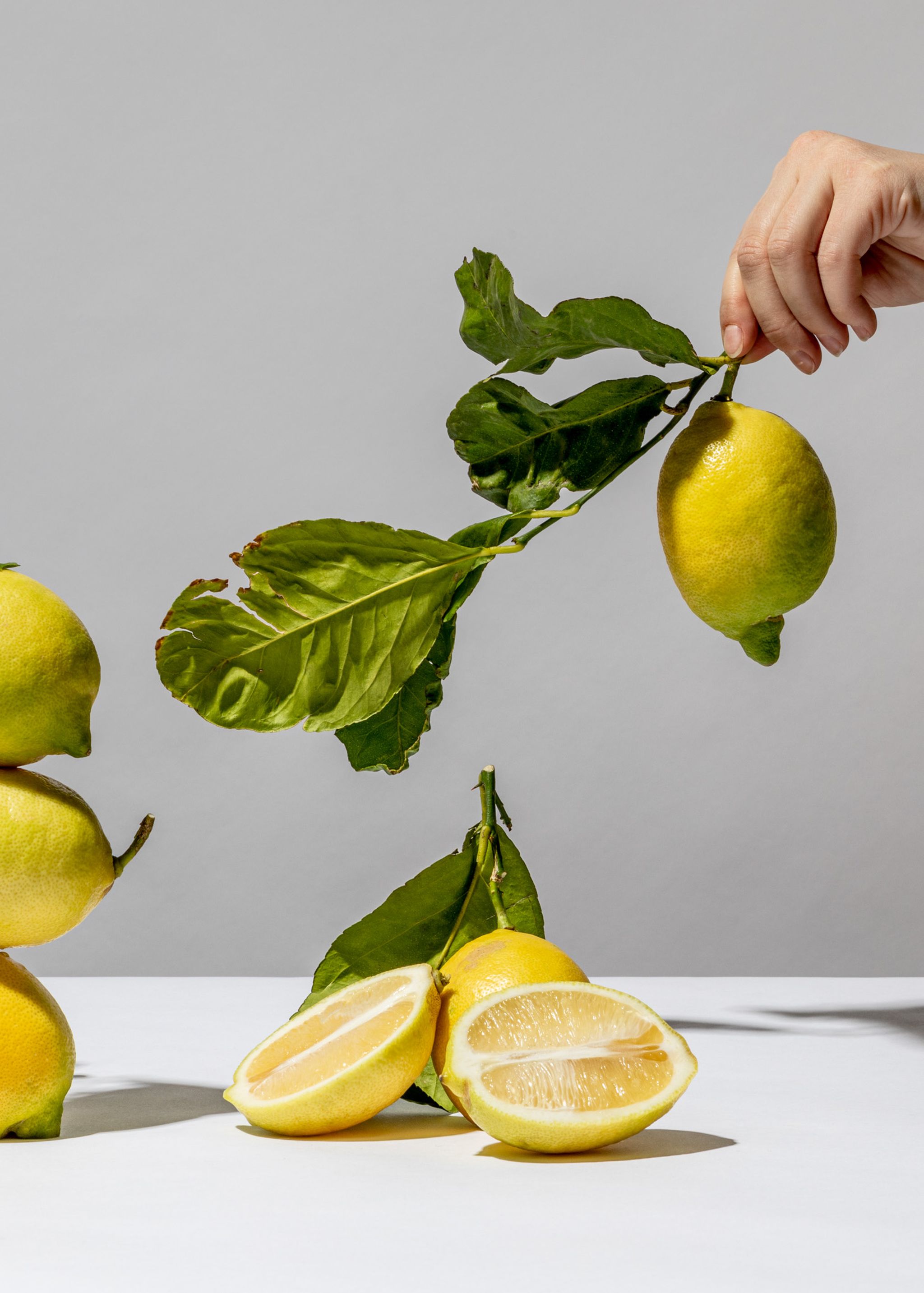 Everything You Need to Know About Preparing and Storing In Season Lemon Stories Kitchen Stories