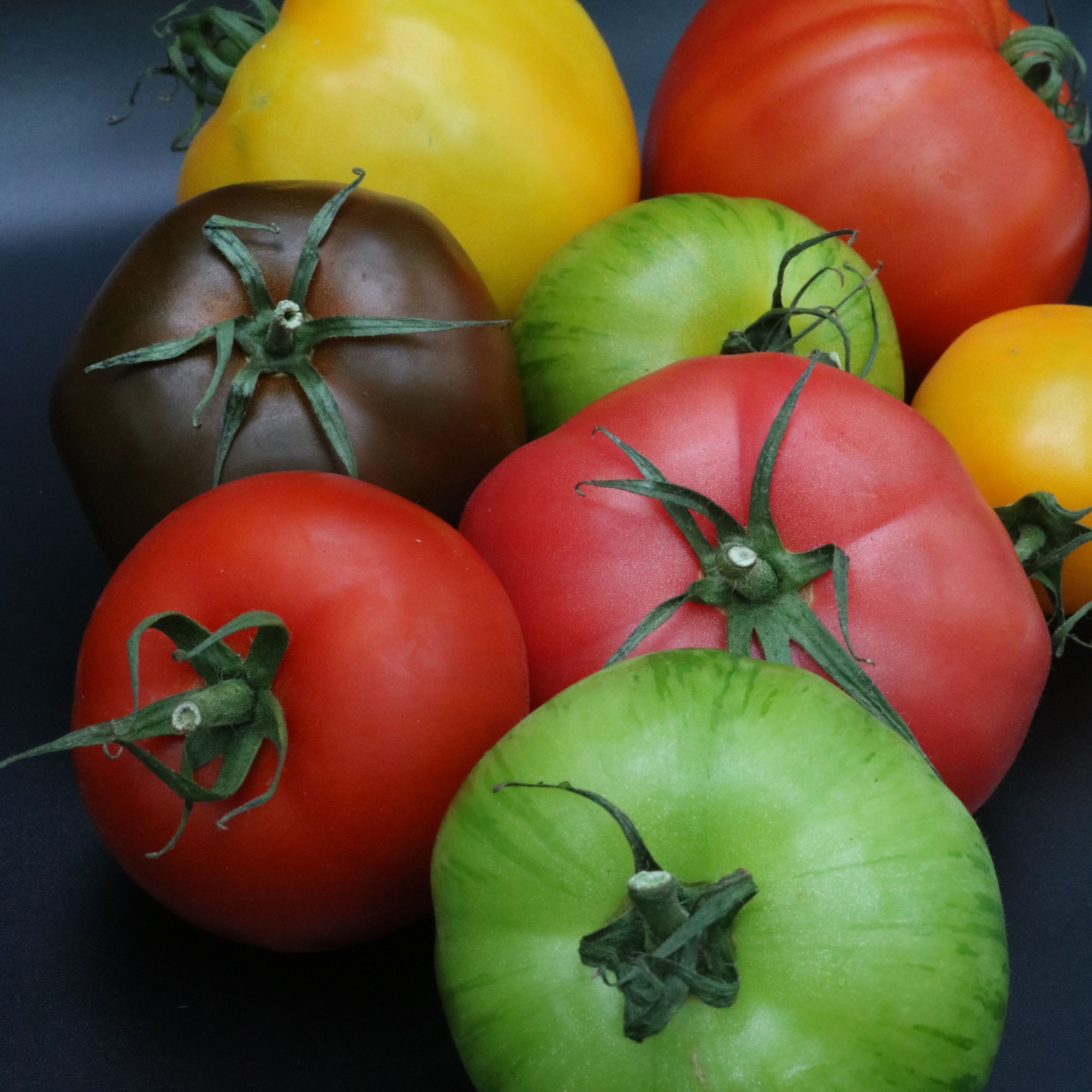 Bunte Tomatenauswahl in beliebig große Stücke schneiden. Mit dem Aprikosen-Chimichurri vermengen.