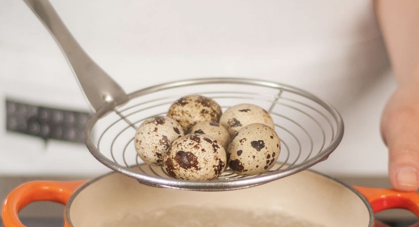 Quail eggs are trending, but it’s important not to overconsume