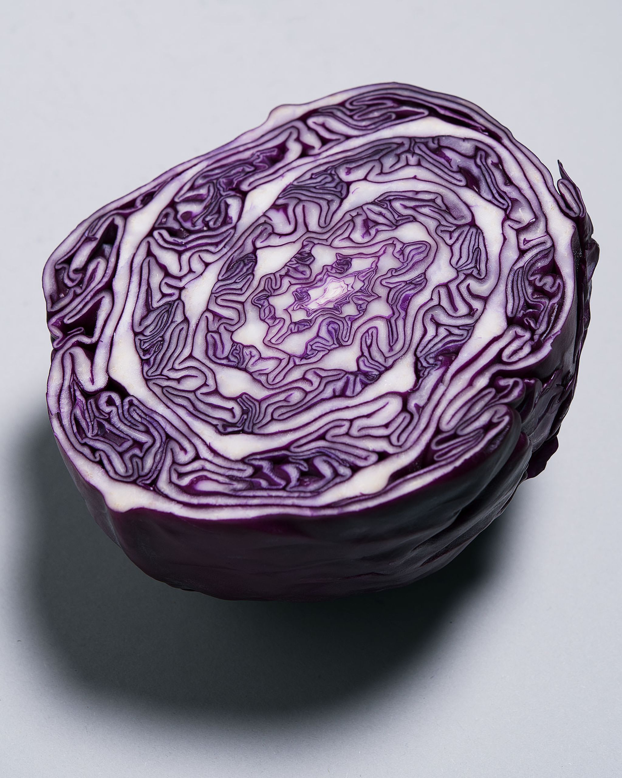 Jetzt in Saison: Rotkohl richtig kaufen, lagern und zubereiten | Stories | Kitchen Stories