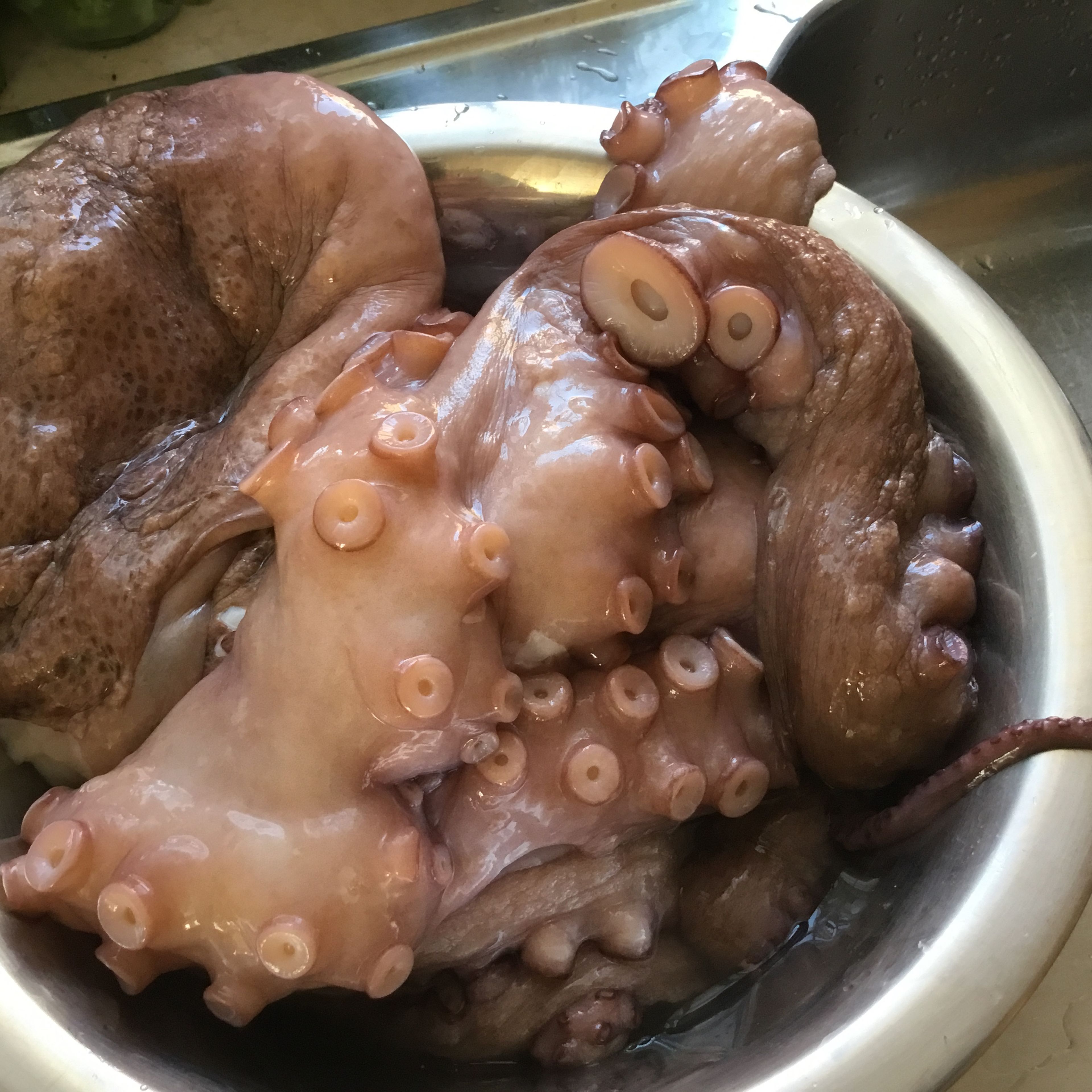 Den Octopus - am besten küchenfertig machen lassen - nur noch großzügig die Augen herausschneiden sowie...
