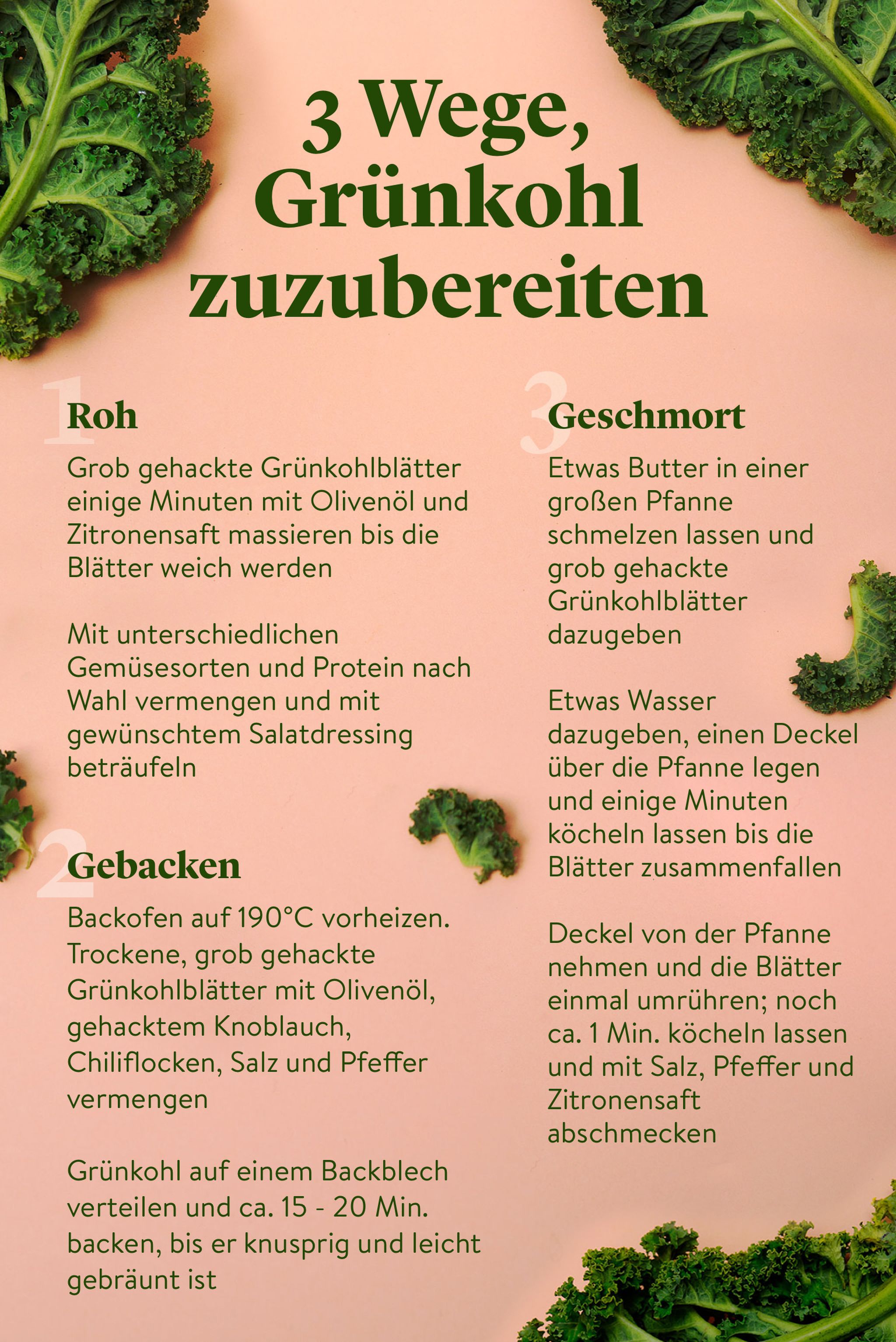 Jetzt in Saison Grünkohl richtig kaufen, lagern und zubereiten Stories Kitchen Stories