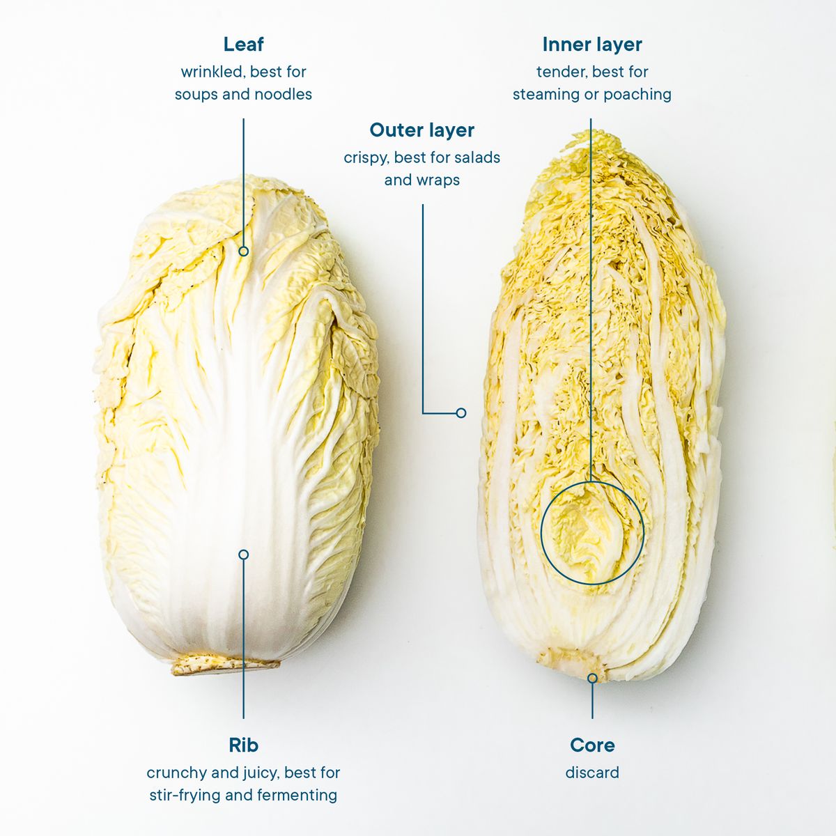 Everything You Need to Know About Preparing and Storing Napa Cabbage