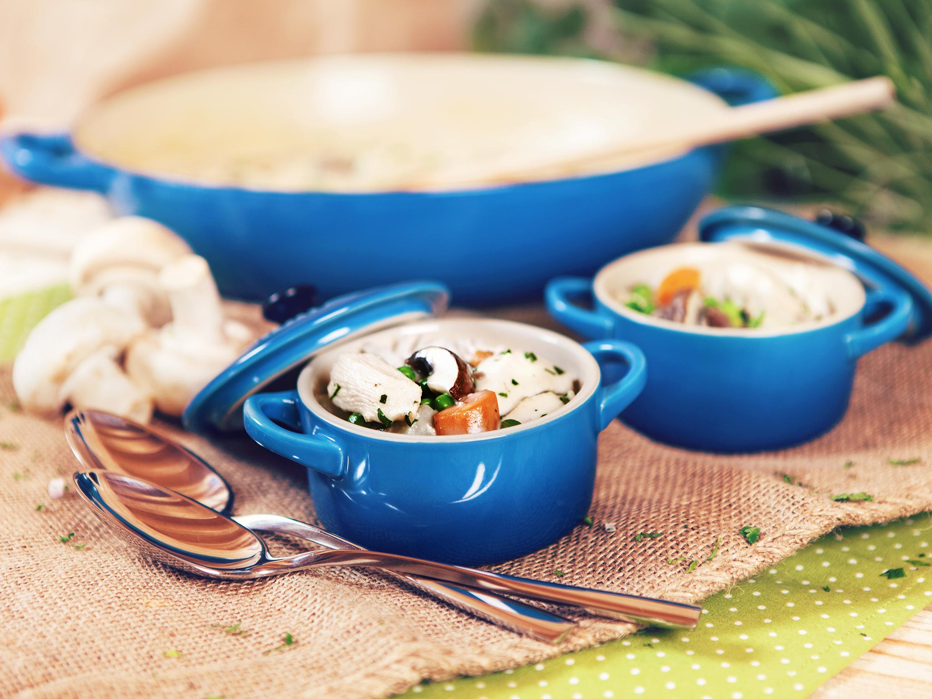 Chicken fricassee with young vegetables