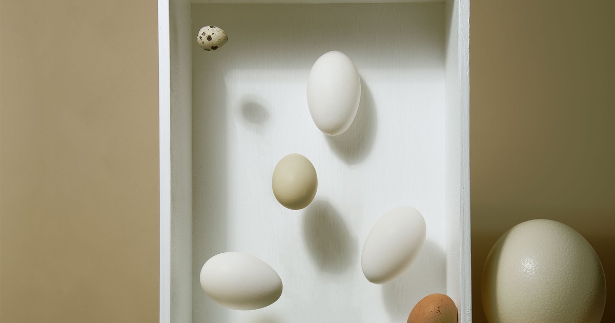 Do Eggs Really Need to Be Stored in the Fridge? | Stories | Kitchen Stories