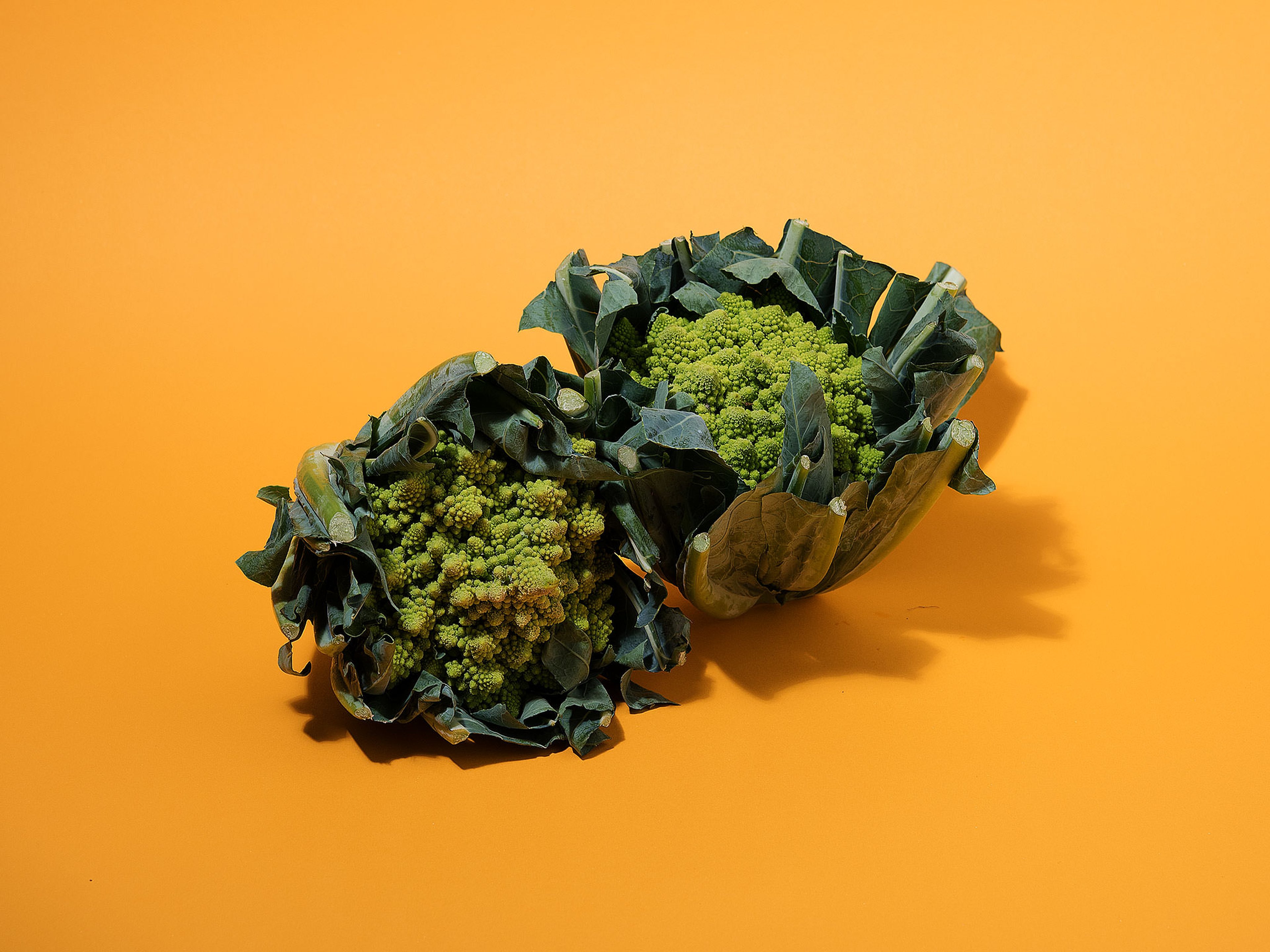 Everything to Know About Cooking and Shopping for In Season Romanesco