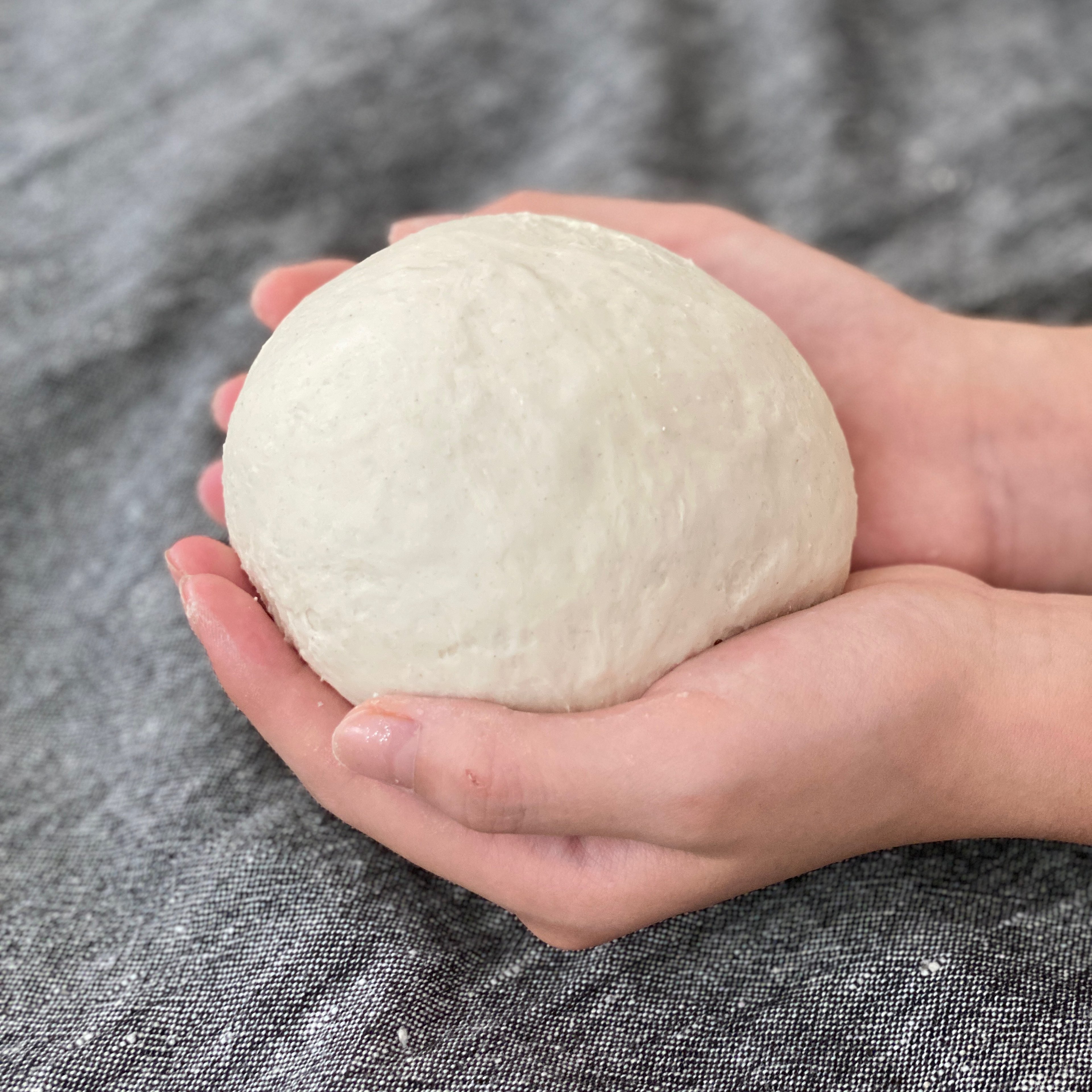 1 lb Homemade Pizza Dough