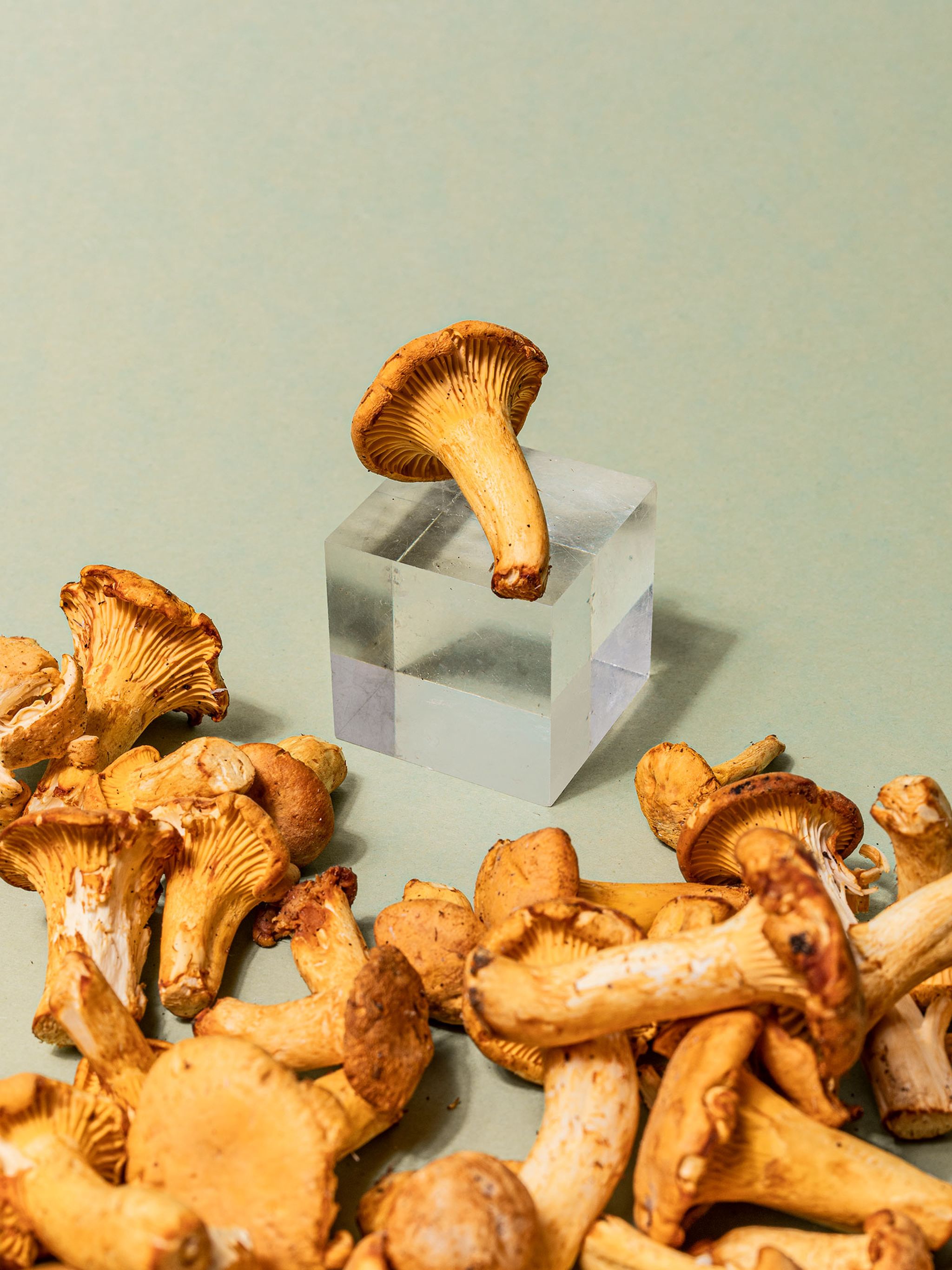 Everything You Need to Know About Shopping for, Storing, and Preparing