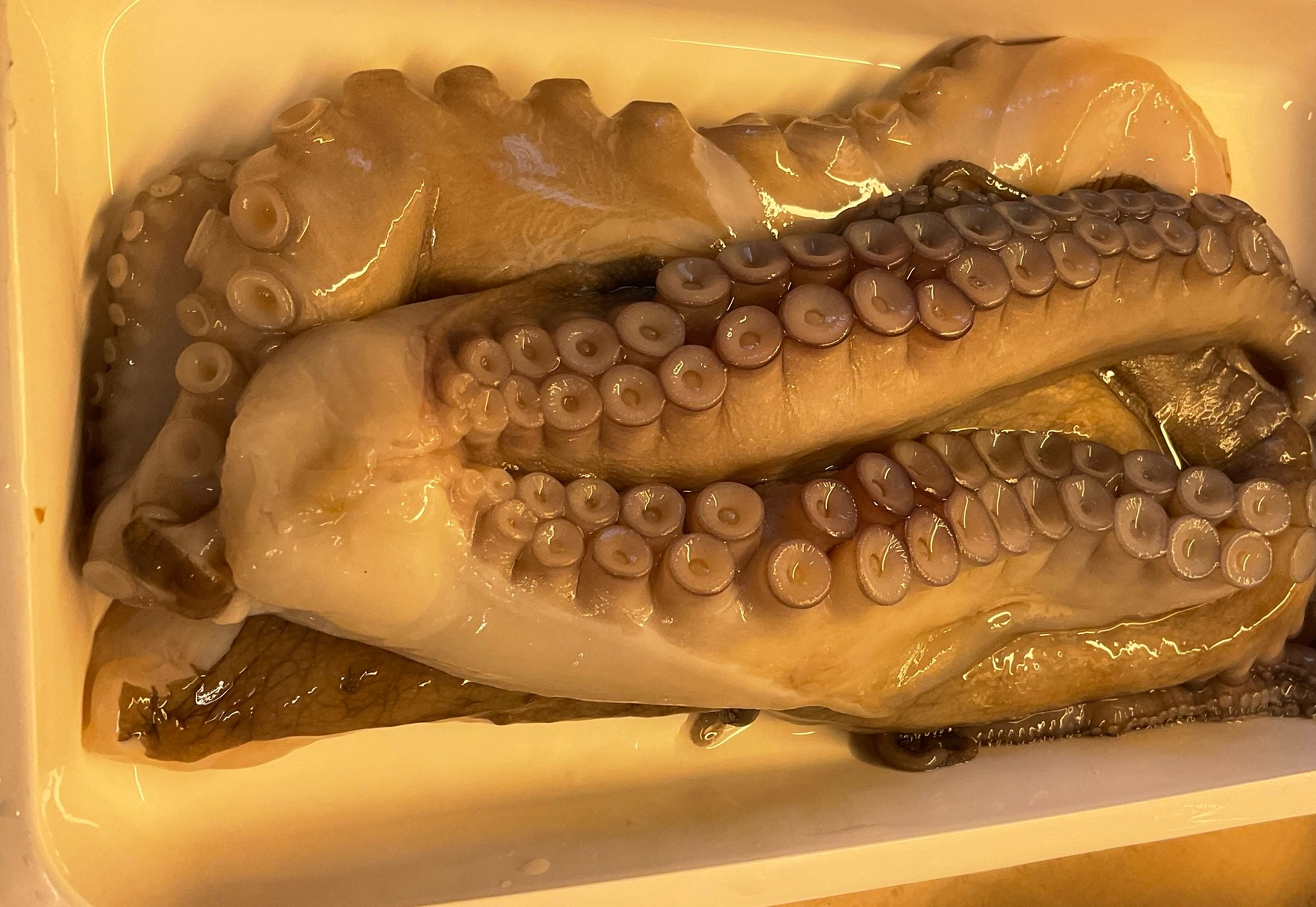 Frischer Pulpo, evtl. im Fischgeschäft vorbestellt ist am besten. Fast ohne Qualitätseinbußen geht aber auch ein gefrorener Octopuss vom Lidl, nem italienischem Supermercato oder wo man ihn sonst bei einem Discounter findet.