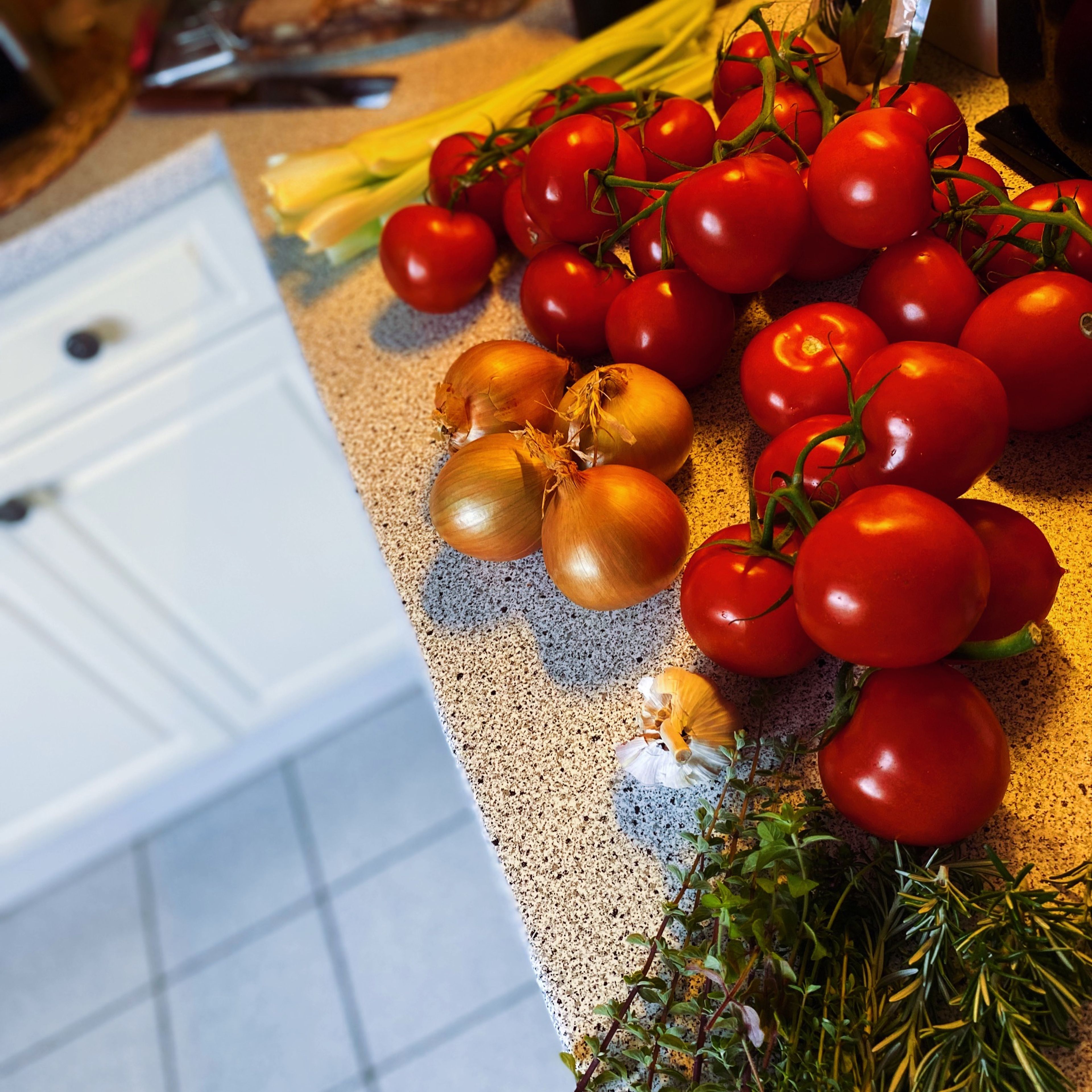 Die Tomaten waschen, Stielansatz entfernen und grob würfeln. Zwiebeln und Knoblauch fein hacken. Sellerie und Pilze waschen, danach fein würfeln. Kräuter waschen, trocknen und hacken.