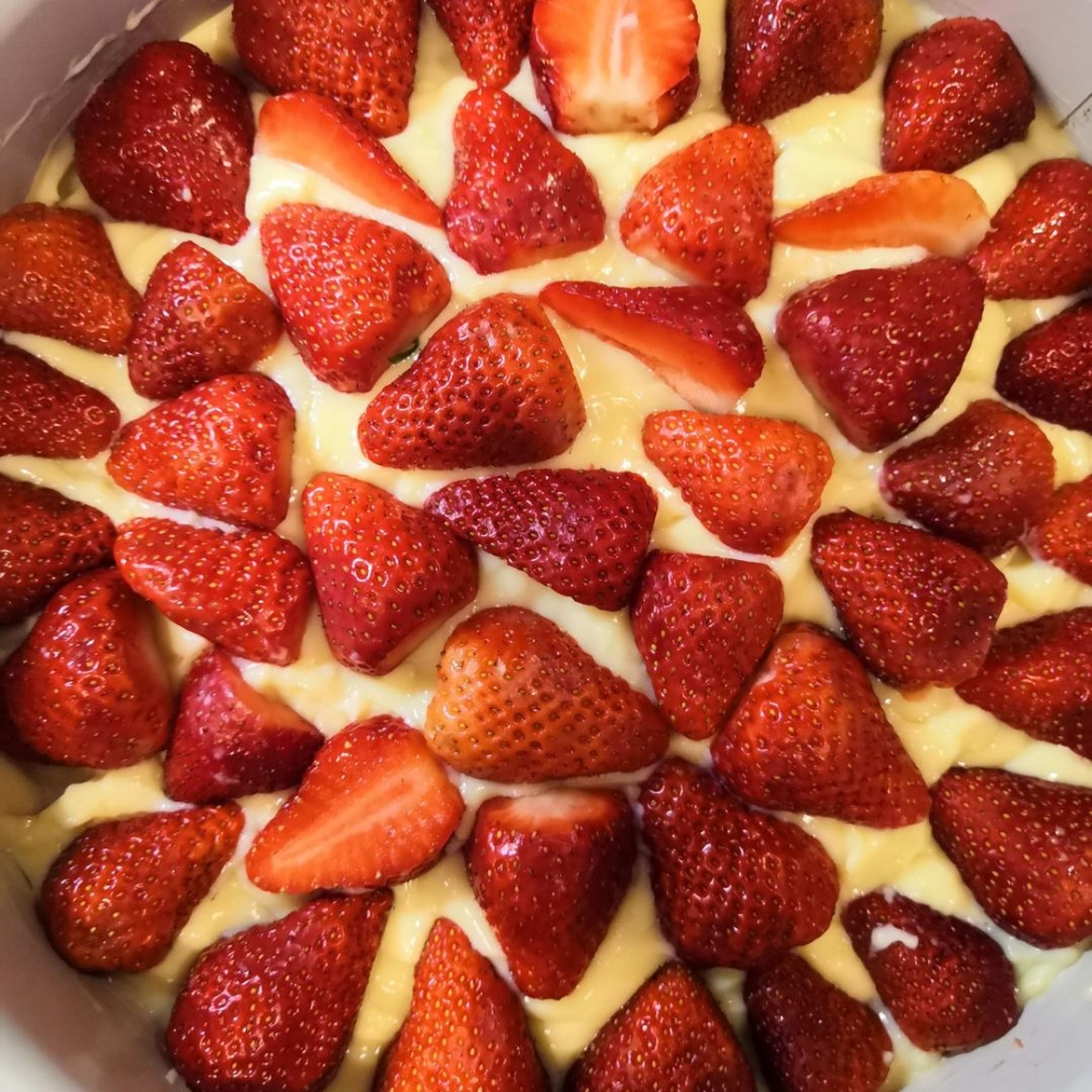 Die Puddingmasse auf dem ausgekühlten Tortenboden gleichmäßig verteilen. Mit den Erdbeerhälften schön belegen.