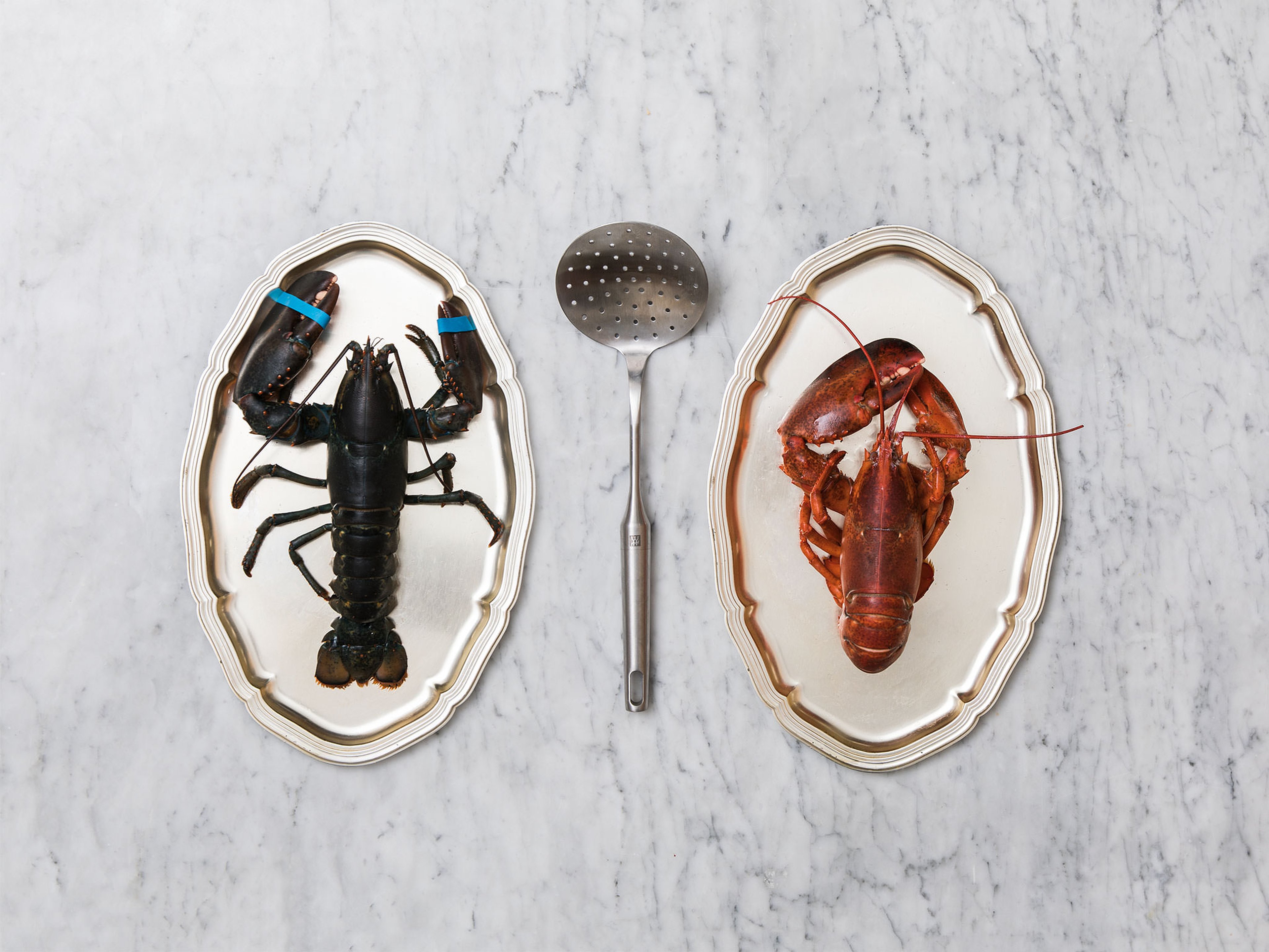 How to cook a lobster