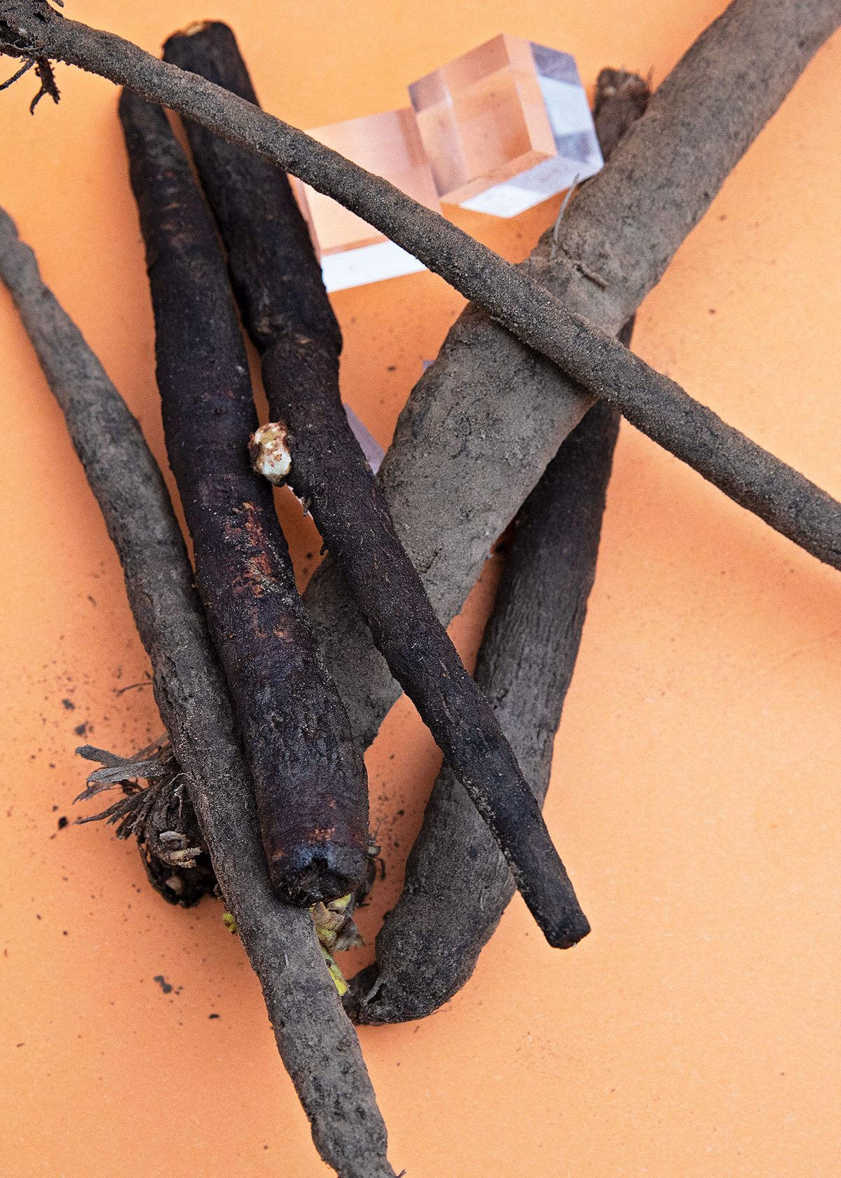 Now in Season: Buying, Storing, and Preparing Black Salsify Properly ...