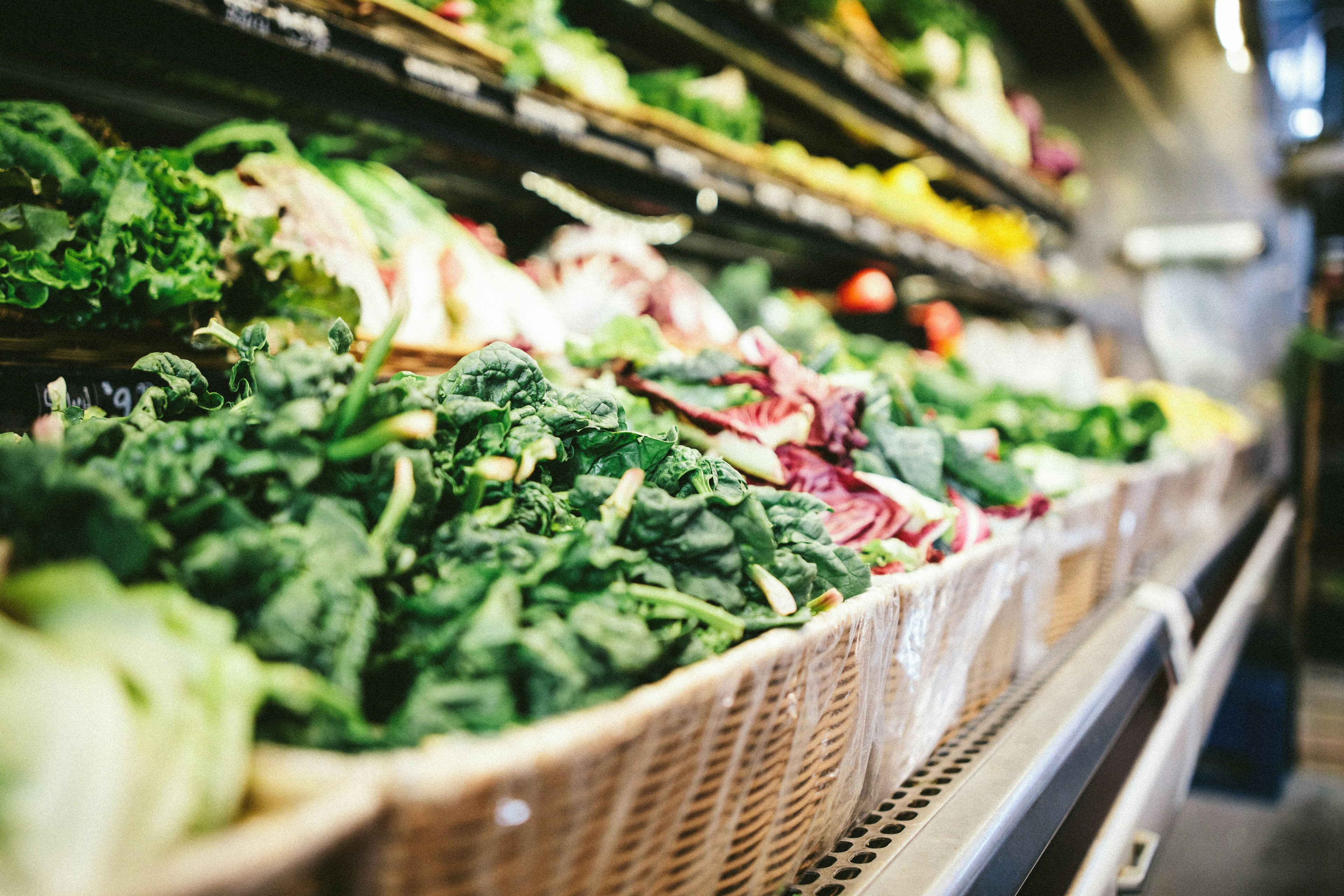 Fewer Food Imports in the Future?